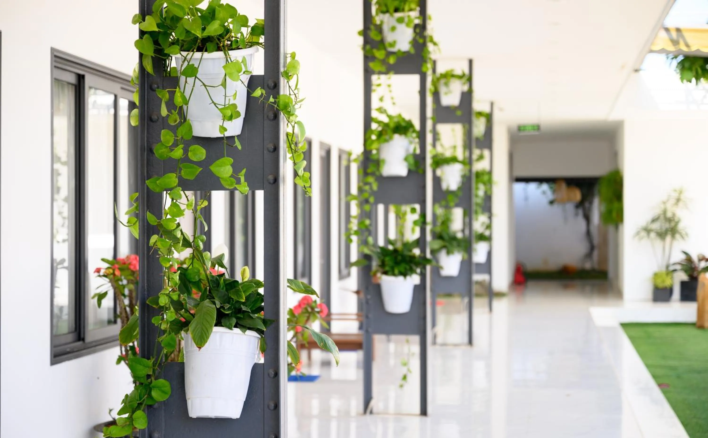 Garden in Nhat Quang Hotel