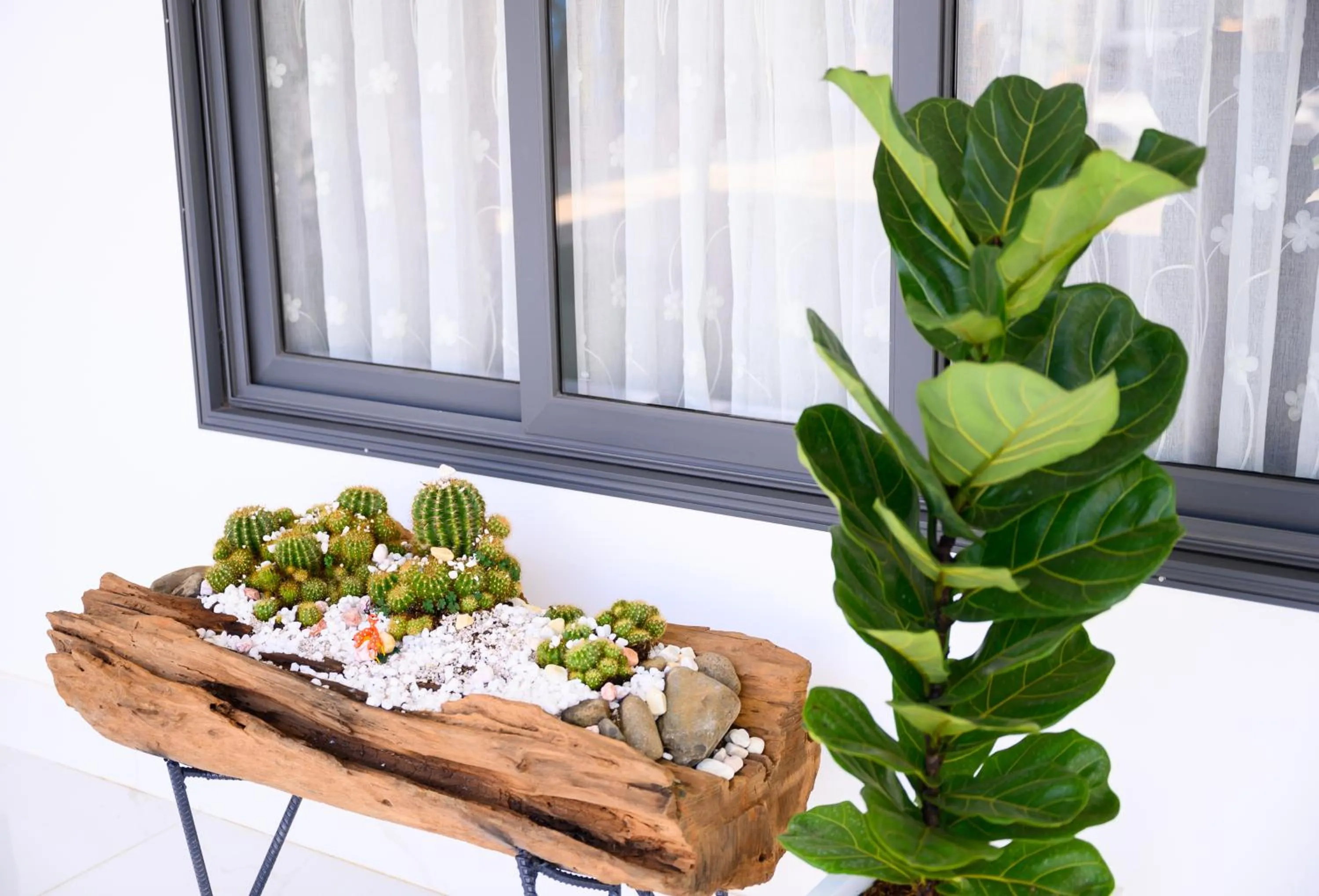 Neighbourhood in Nhat Quang Hotel