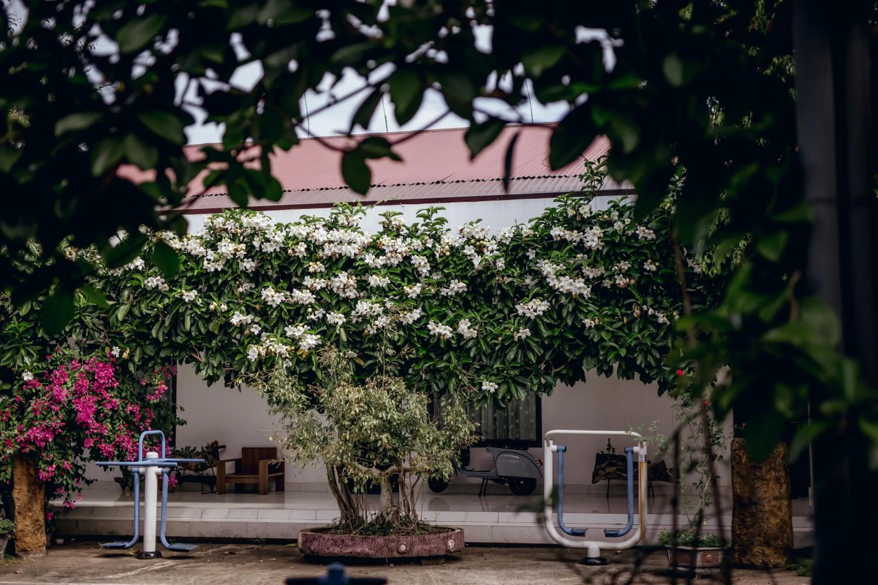 Garden in Nhat Quang Hotel