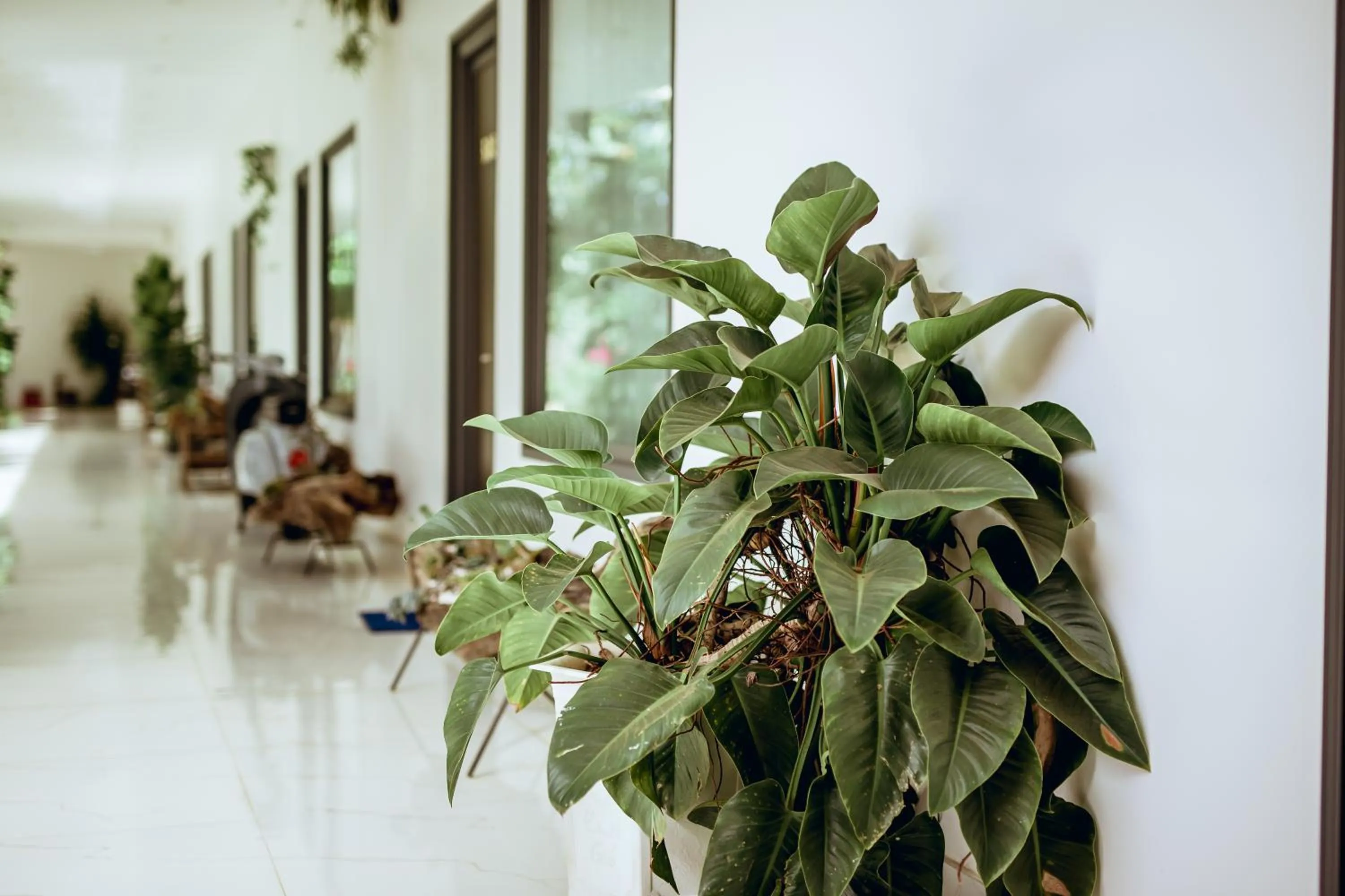Garden in Nhat Quang Hotel