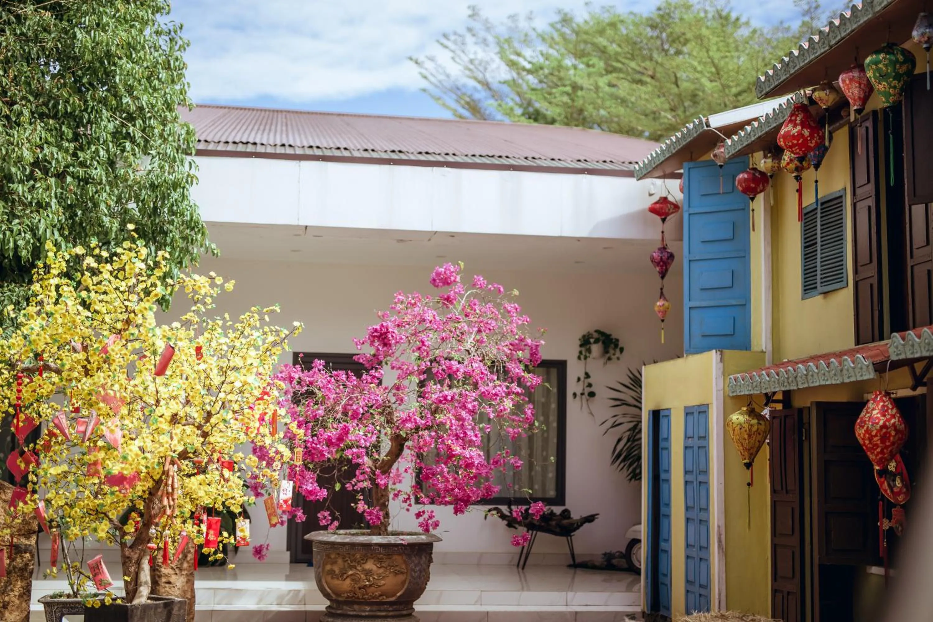 Garden in Nhat Quang Hotel