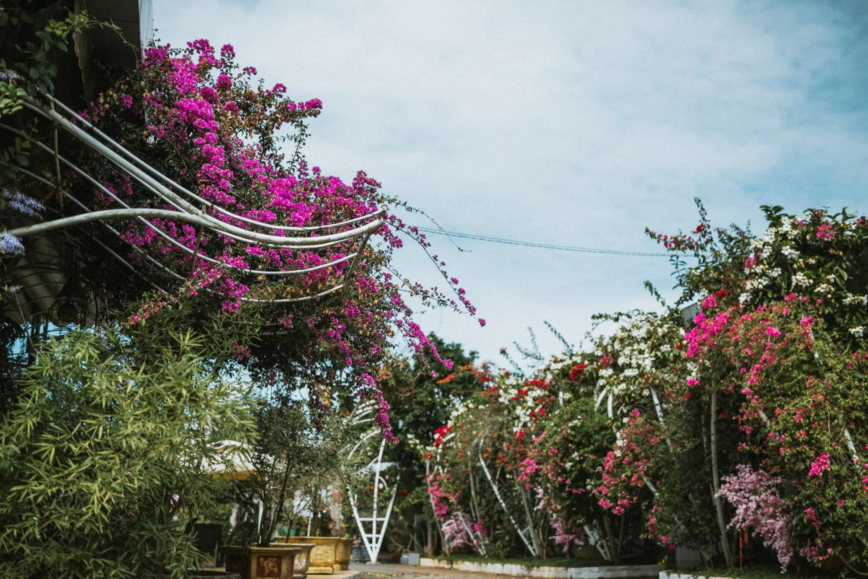 Restaurant/places to eat in Nhat Quang Hotel