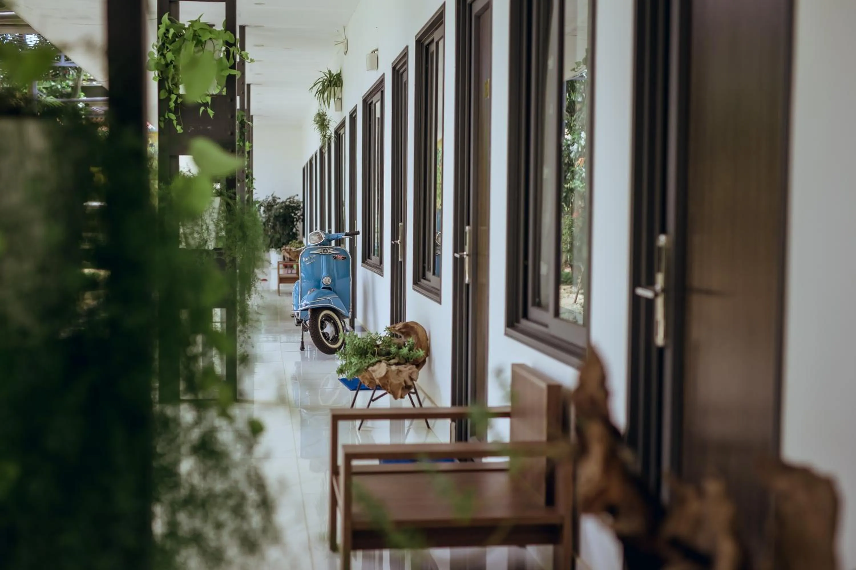 Natural landscape in Nhat Quang Hotel