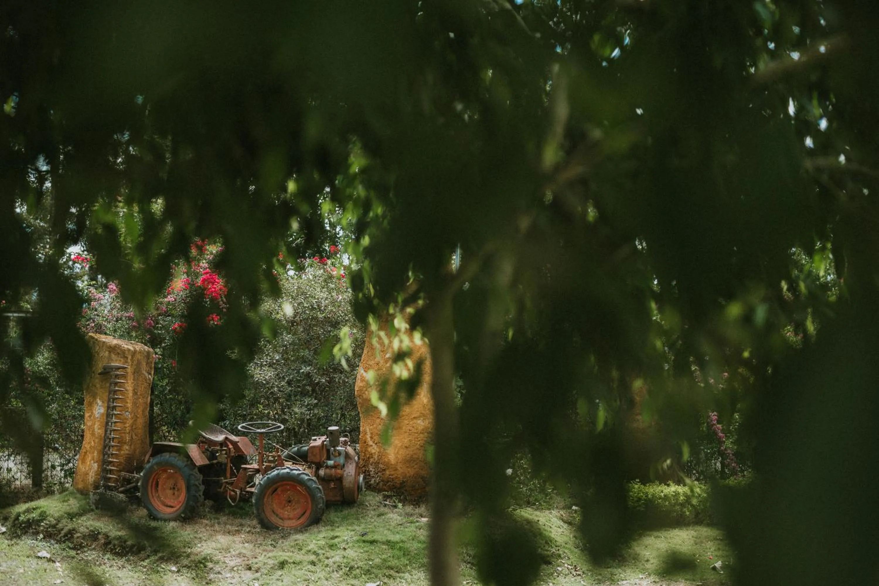 Garden in Nhat Quang Hotel