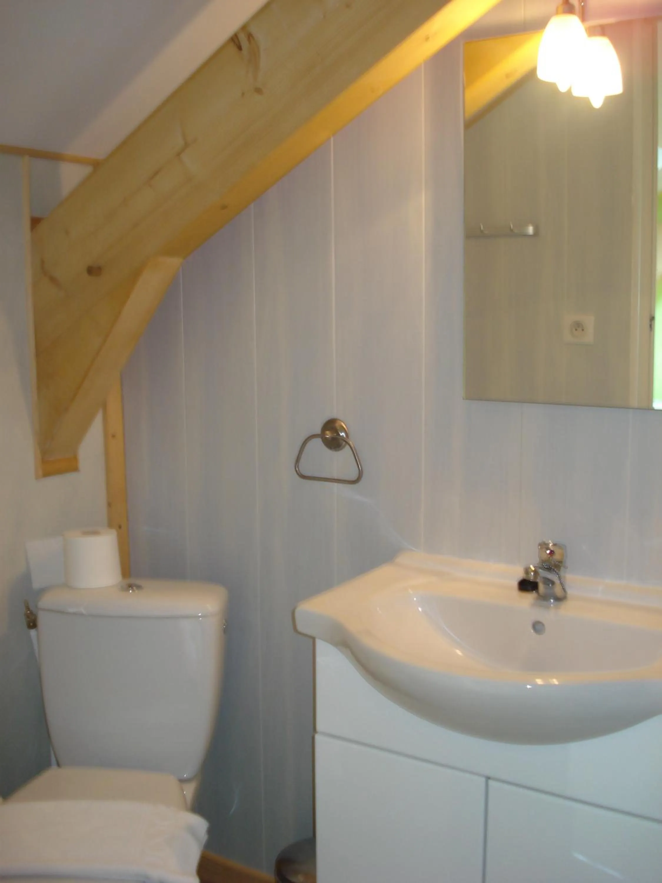 Bathroom in Hôtel des Cimes