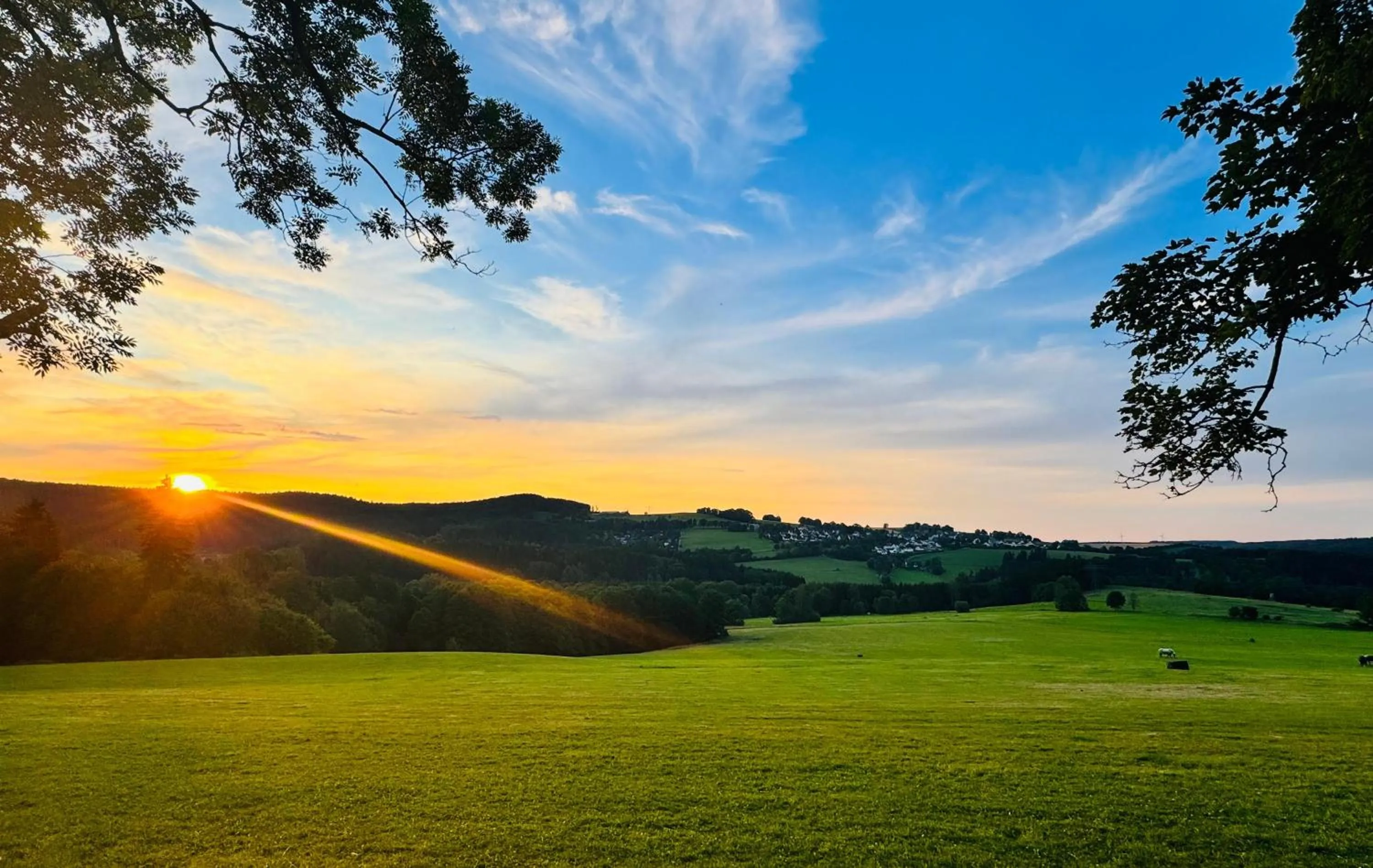 Natural landscape in Hotel Waldesruh