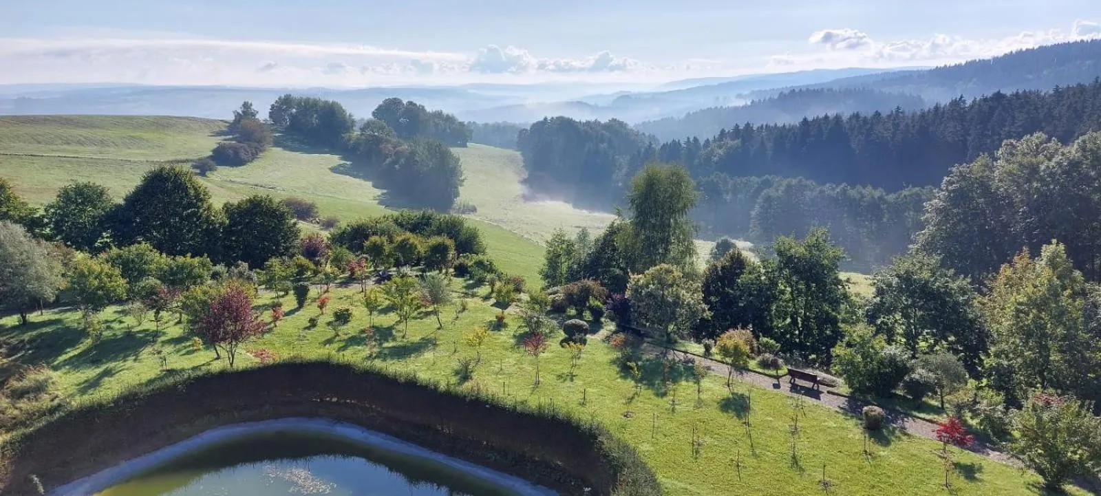 Natural landscape in Hotel Waldesruh