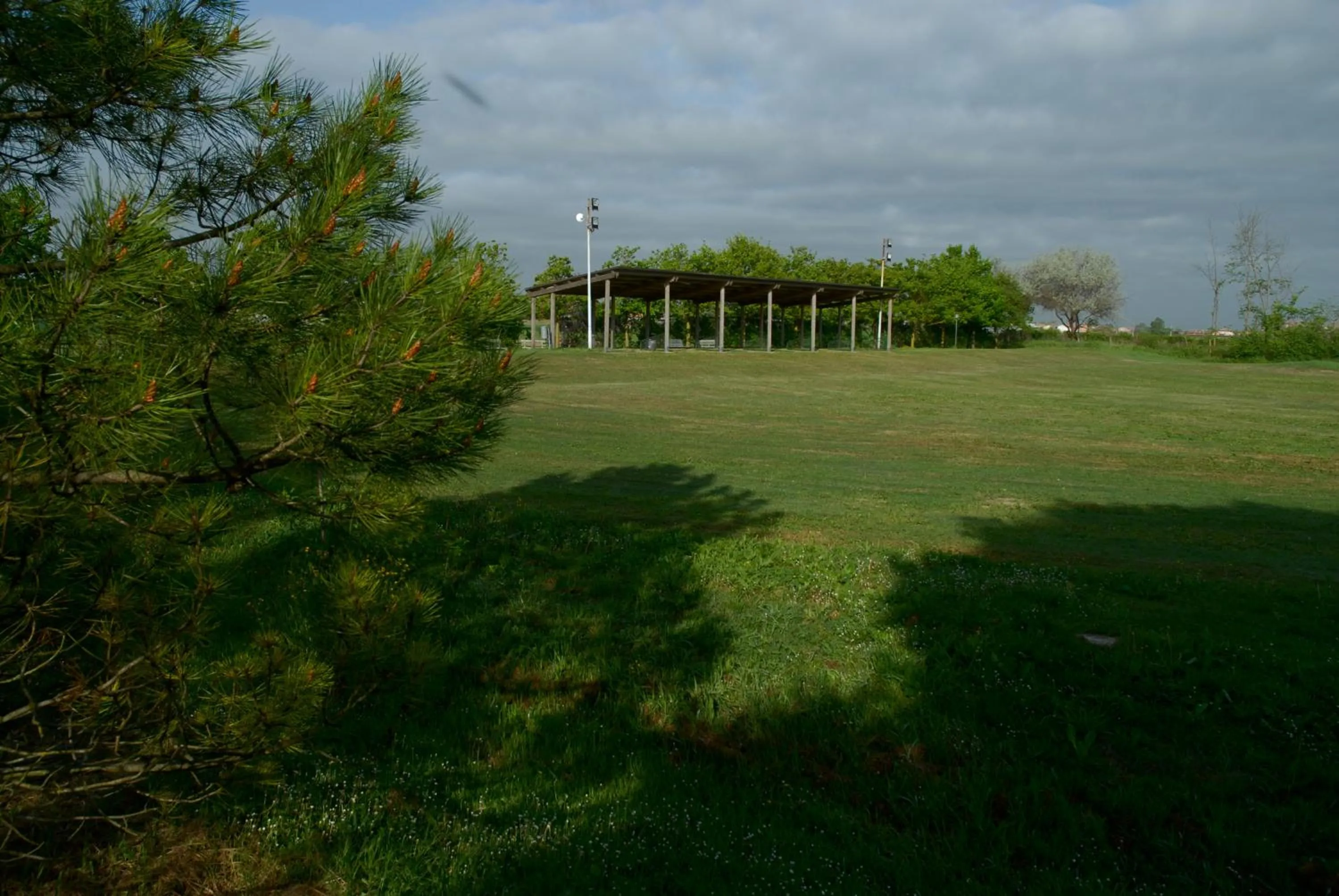 Garden in Rose Canine B&B