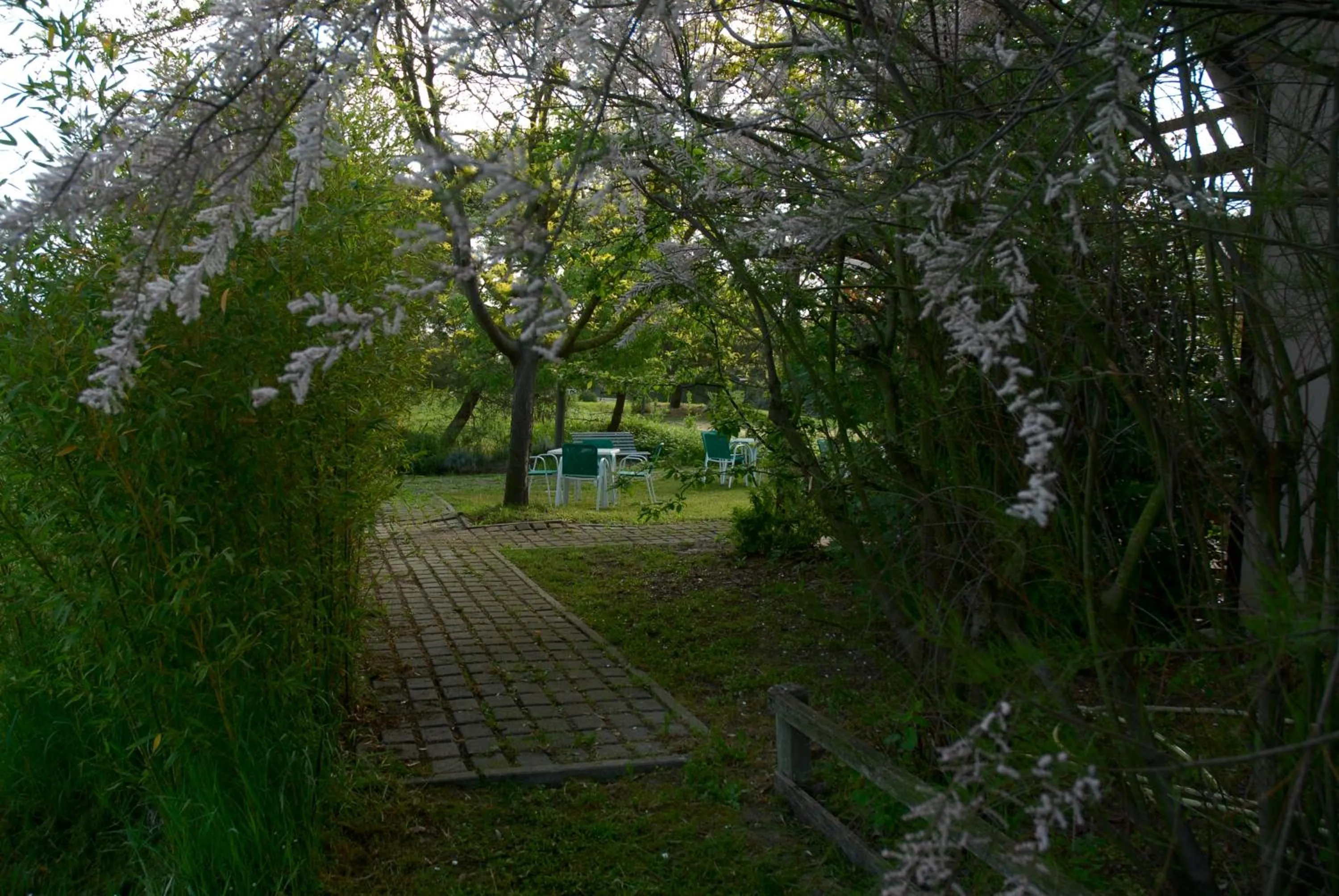 Garden in Rose Canine B&B