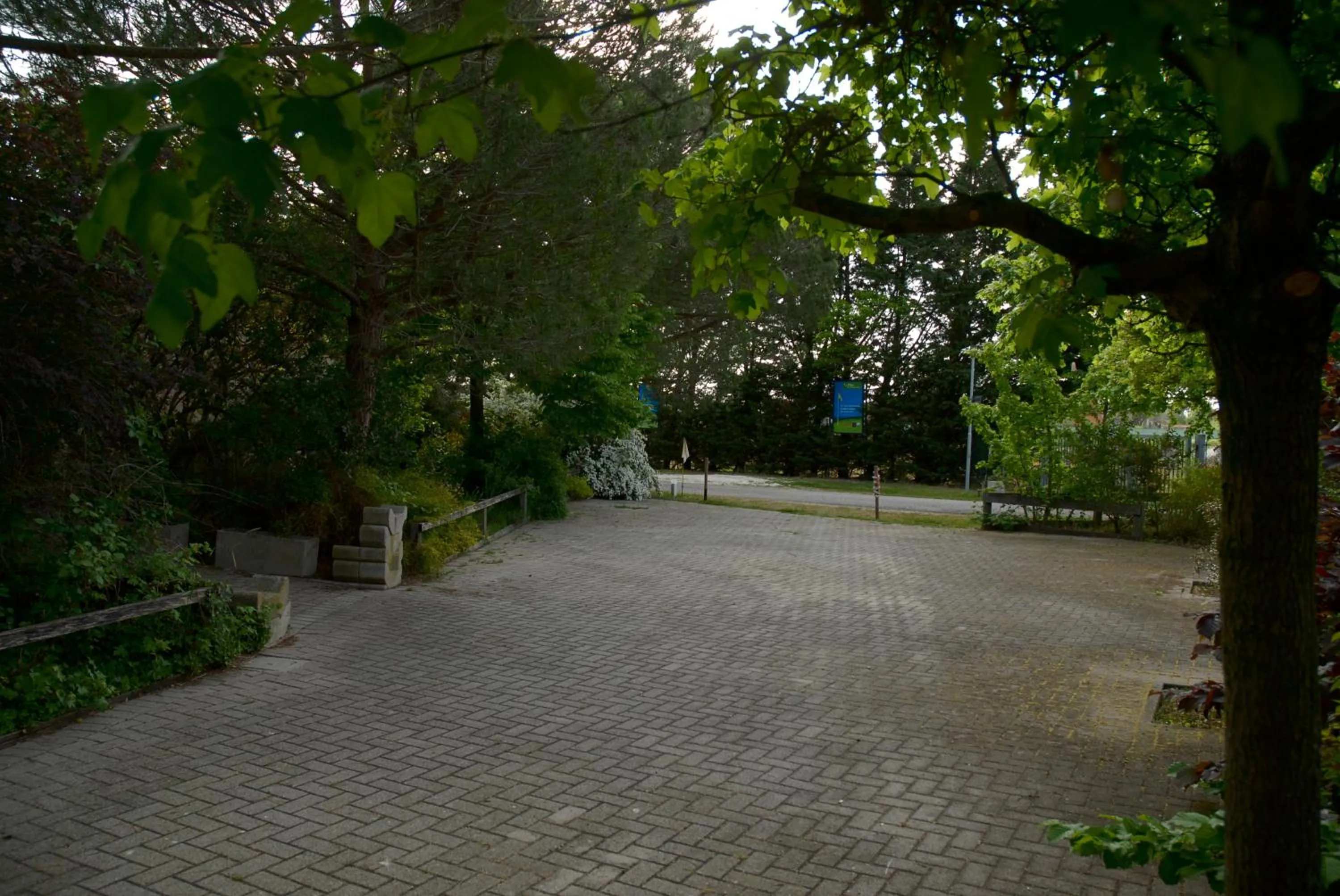 Garden in Rose Canine B&B