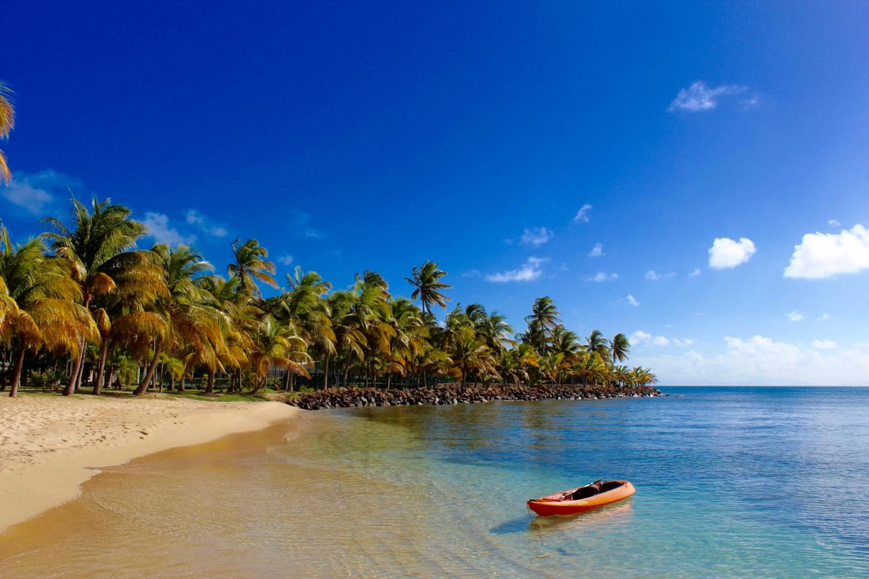 Beach in Curtain Bluff - All Inclusive