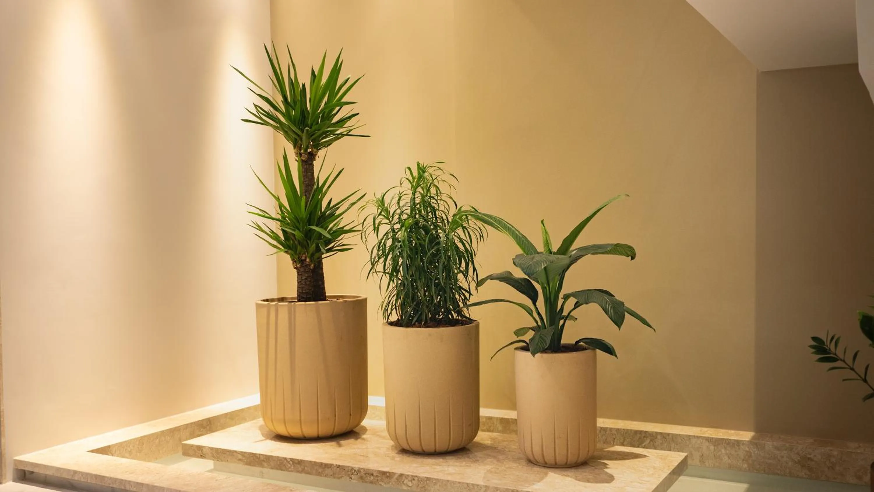 Decorative detail in VIE HOTEL