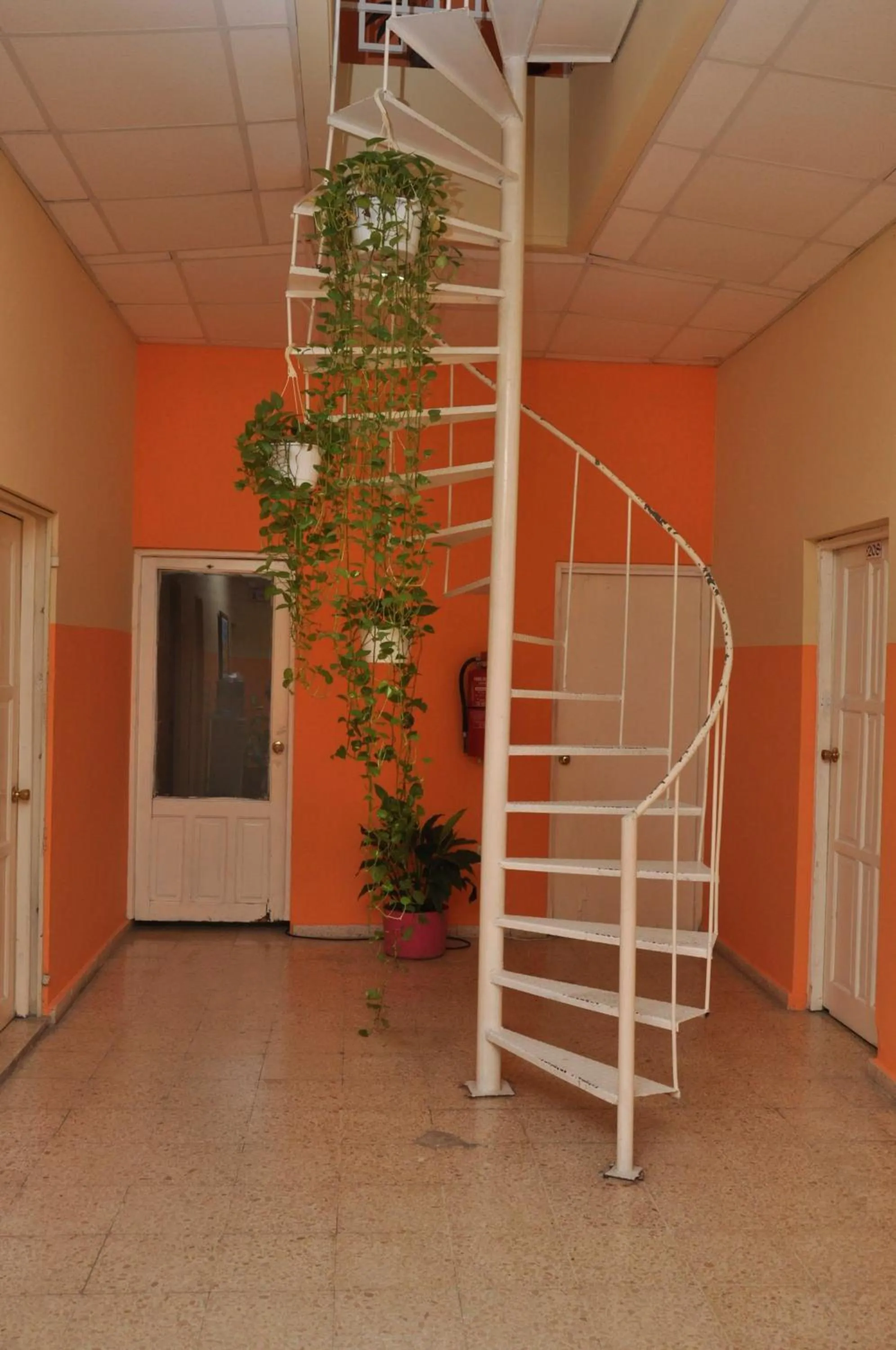 Decorative detail in Hotel Colonial Blanco