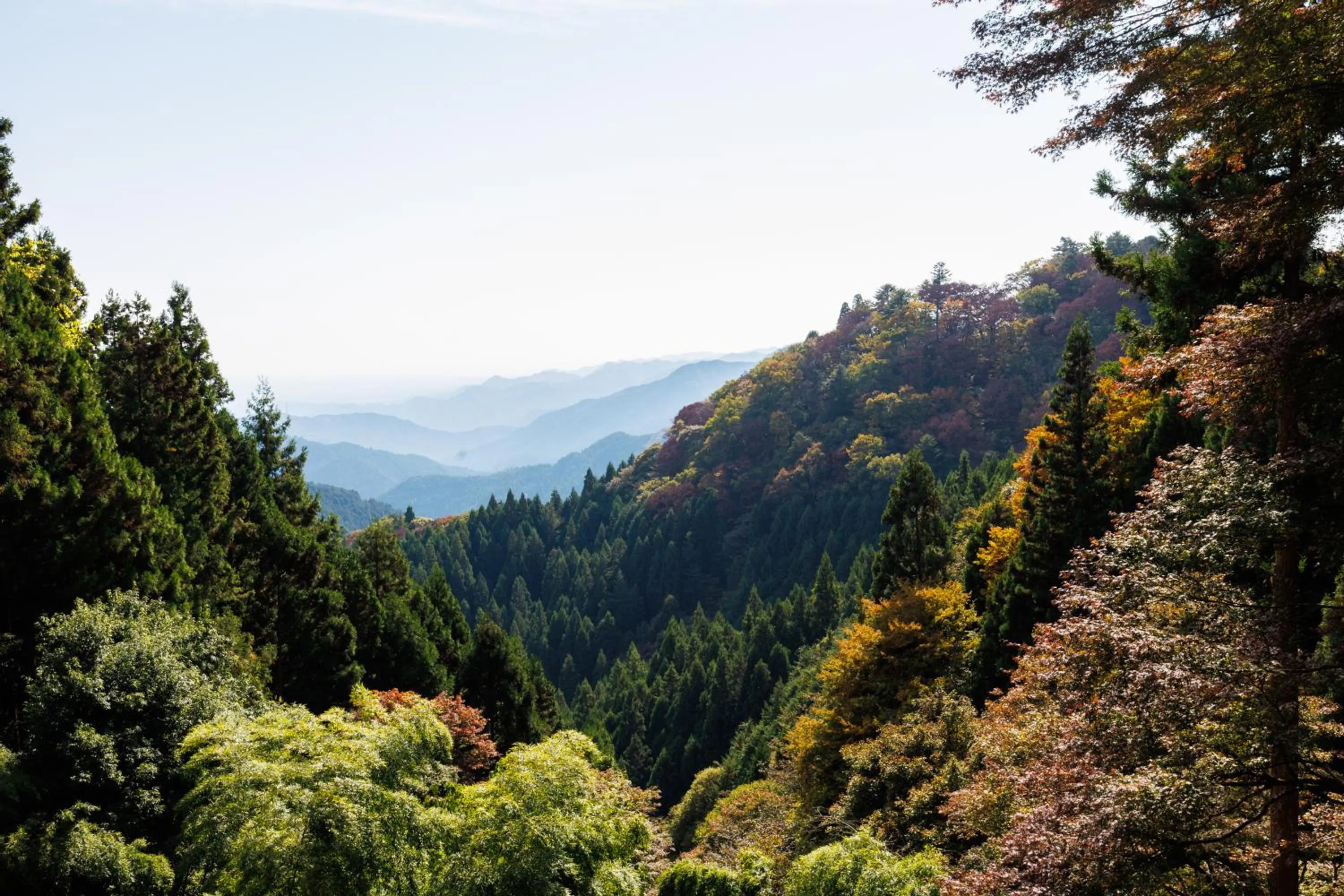 Shukubo Komadori-Sanso