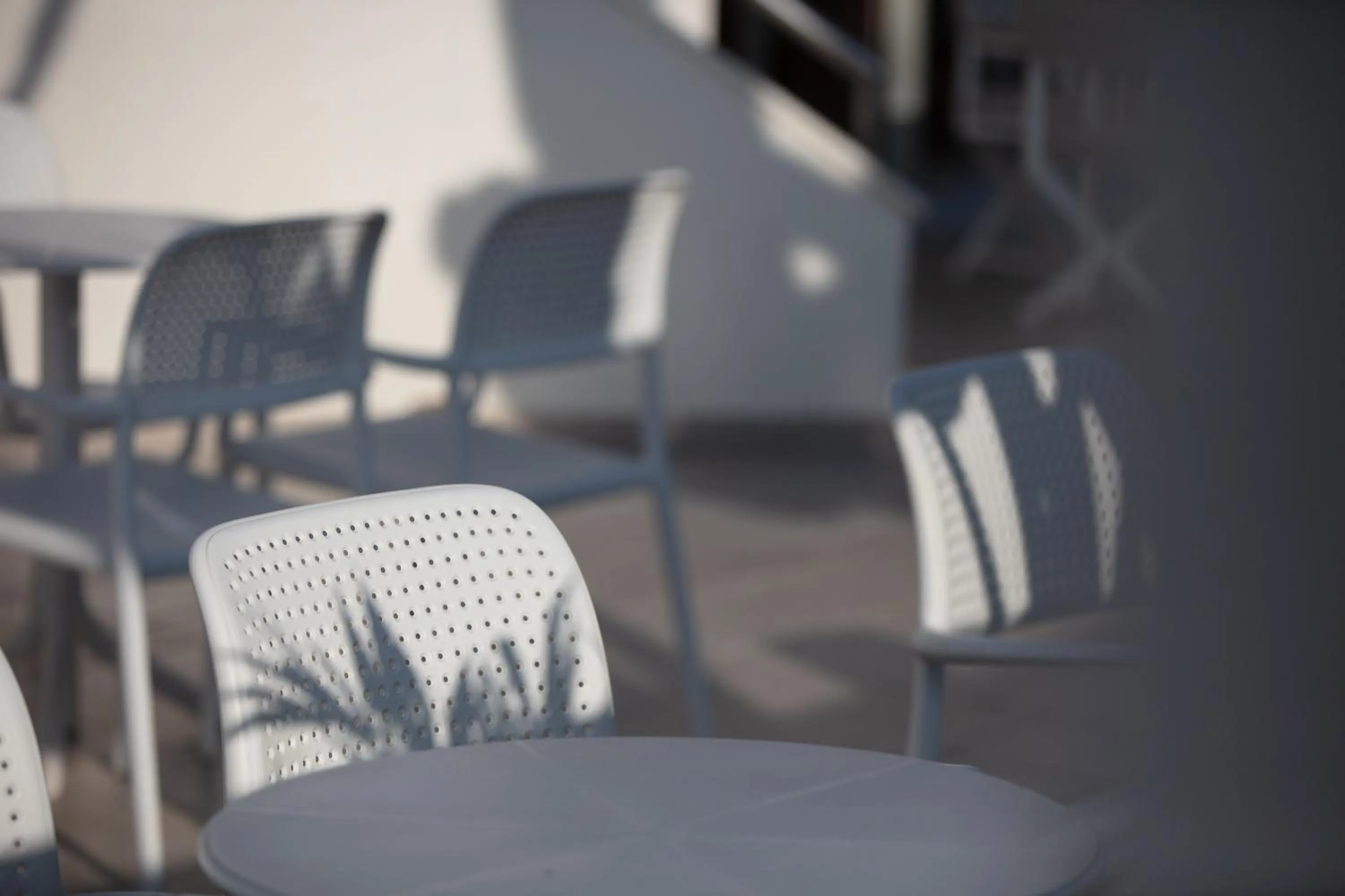 Garden in Aristea Hotel