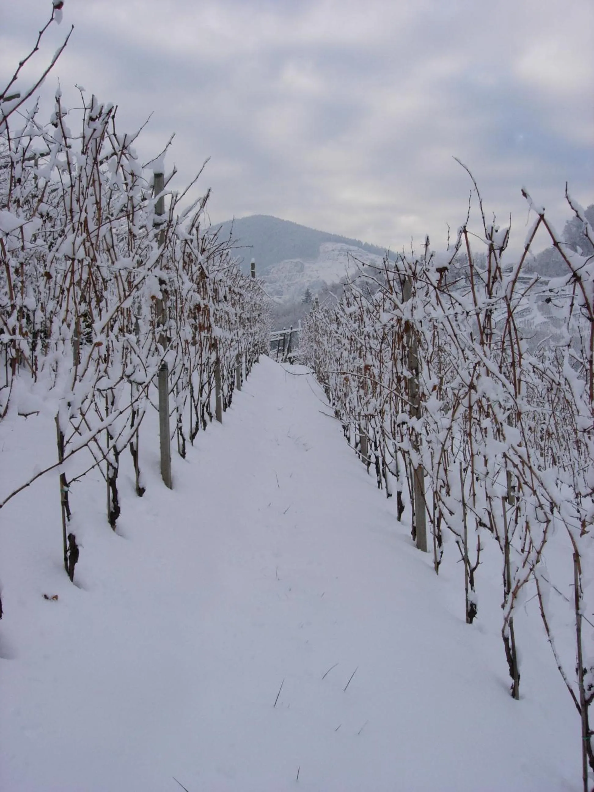 Winter in B&B San Valentino