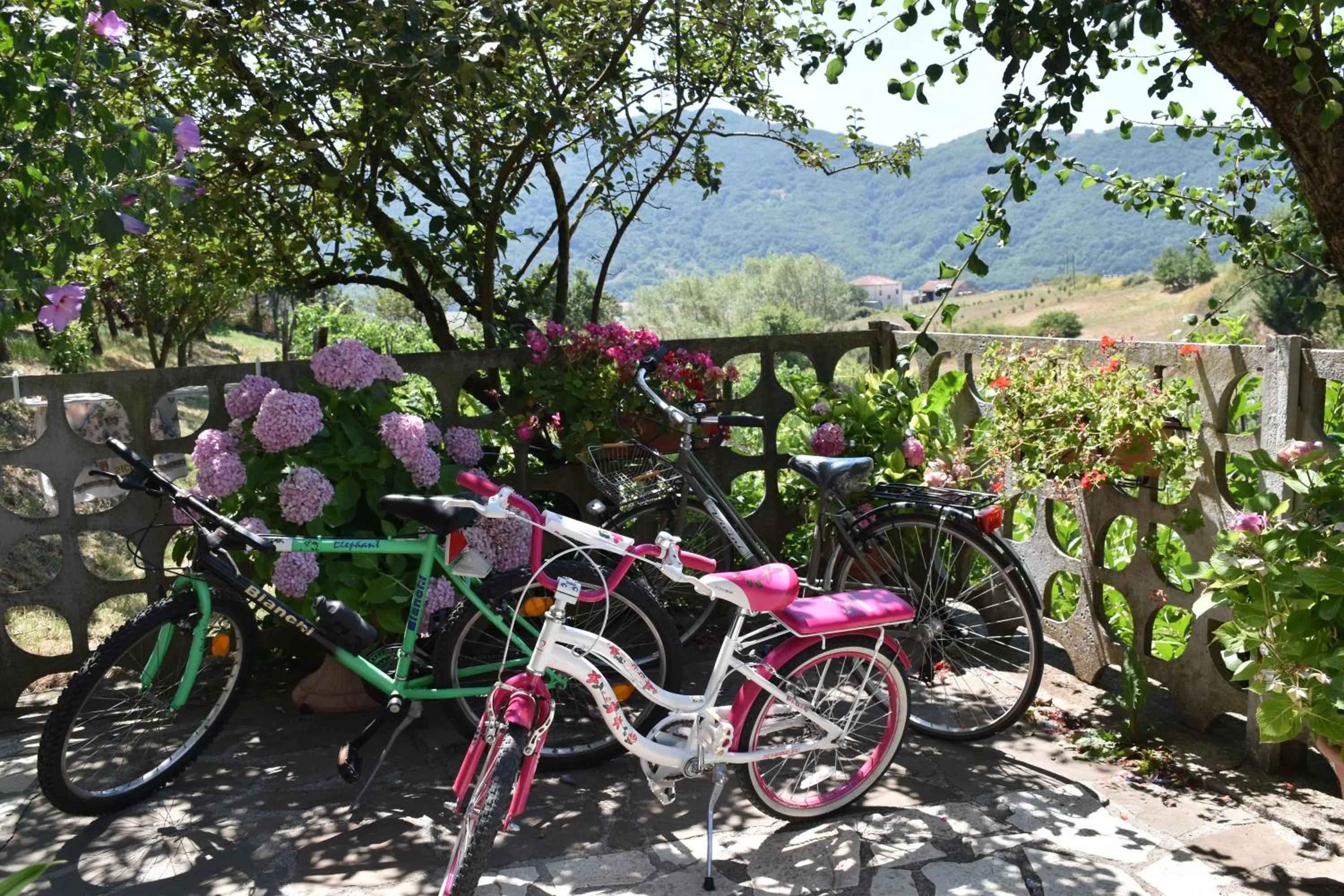 Garden view in B&B NEL VERDE