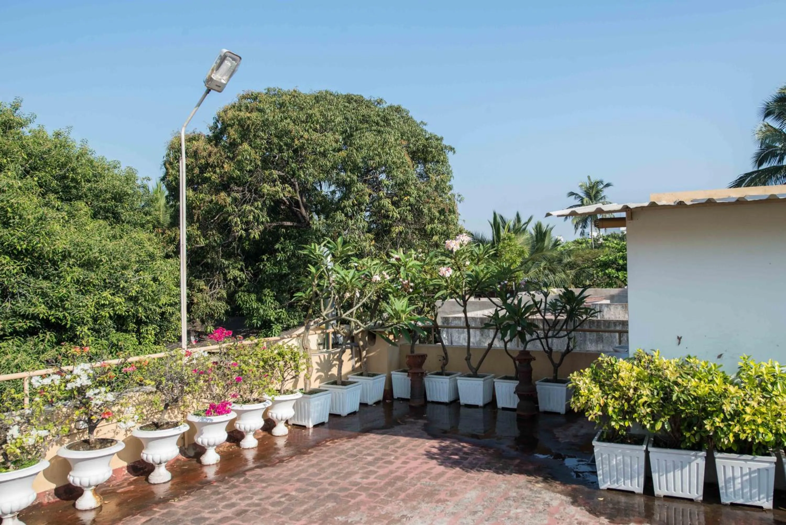 Day in Hanu Reddy Residences Wallace Garden