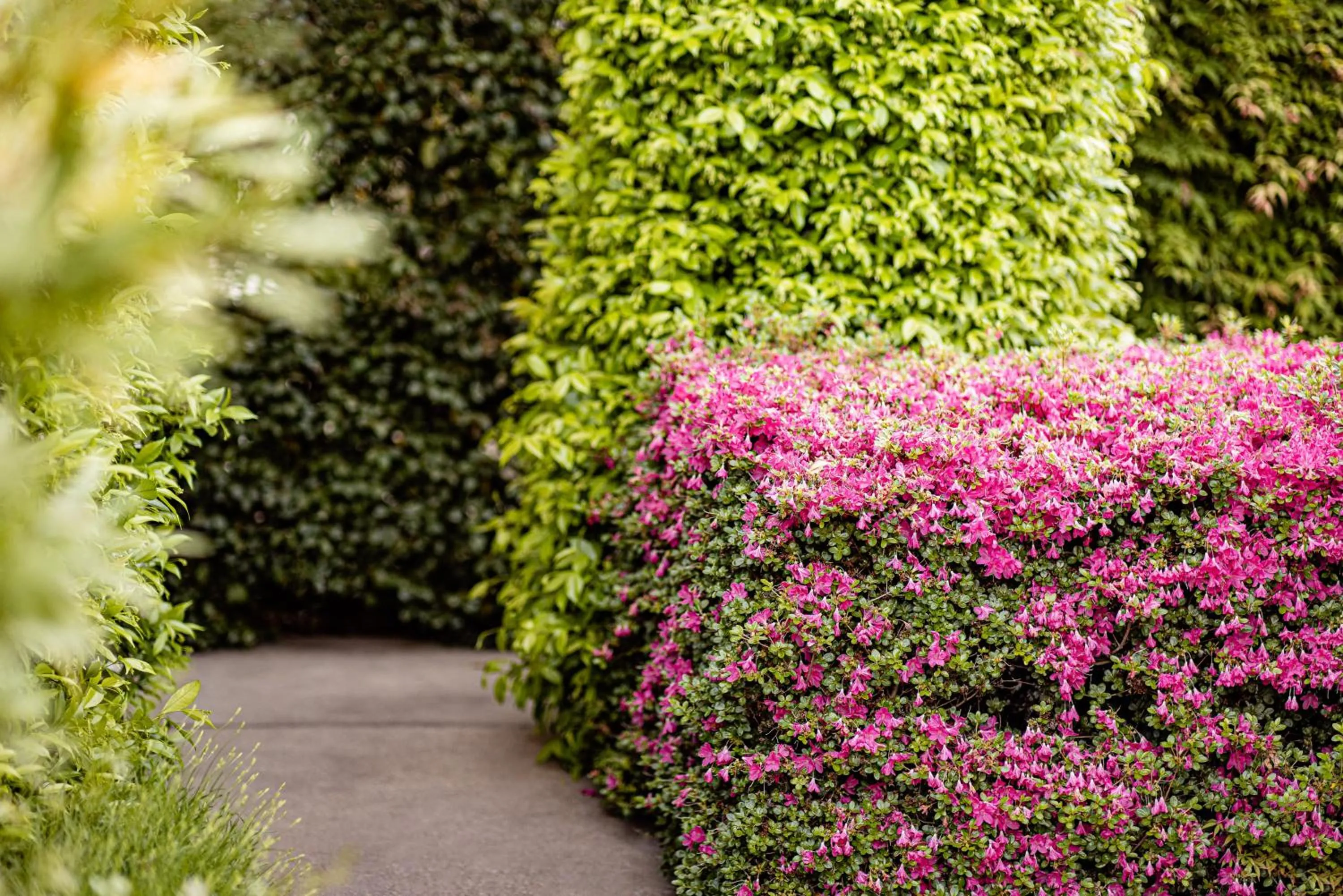 Property building in Garden Residence