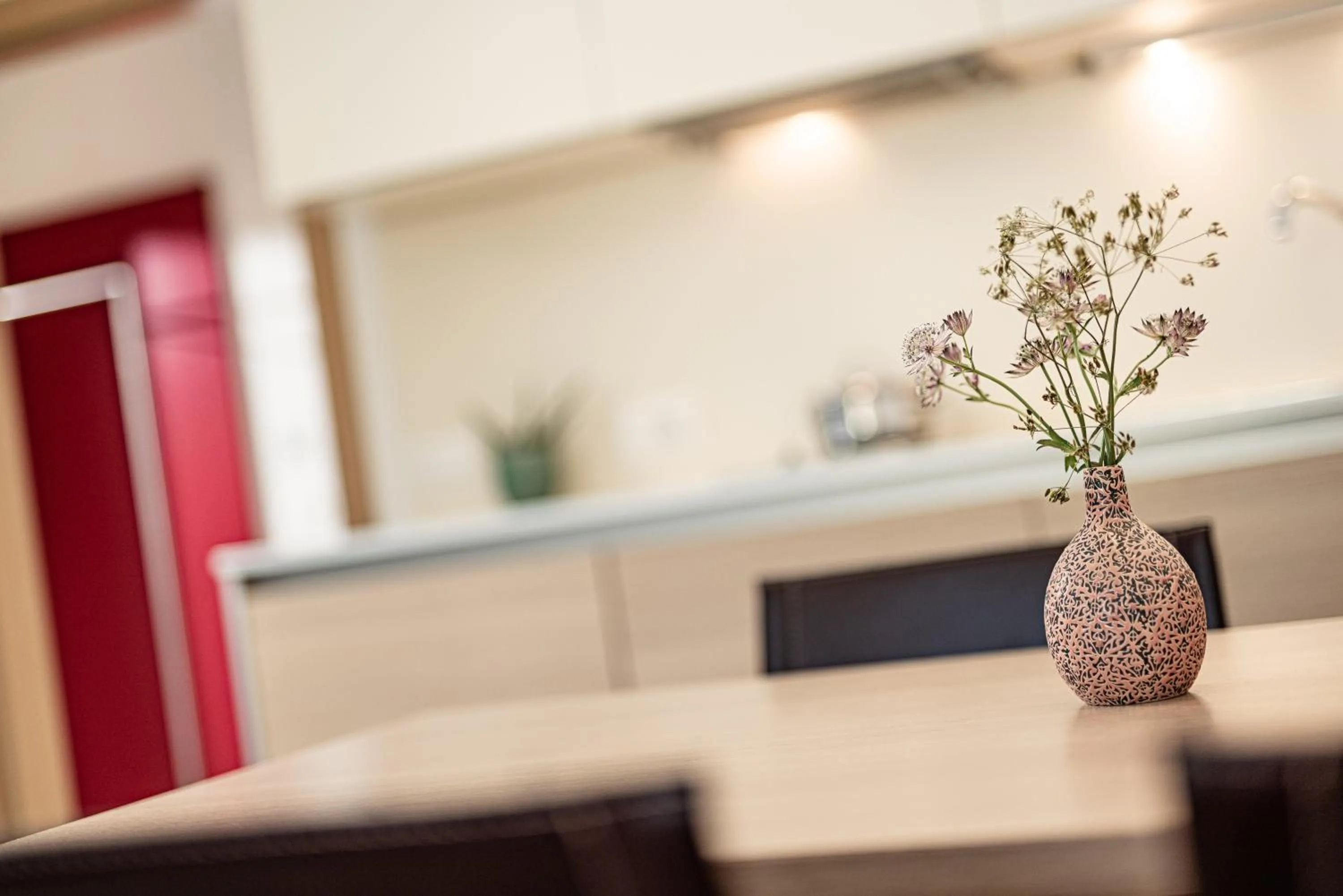 Kitchen or kitchenette in Garden Residence