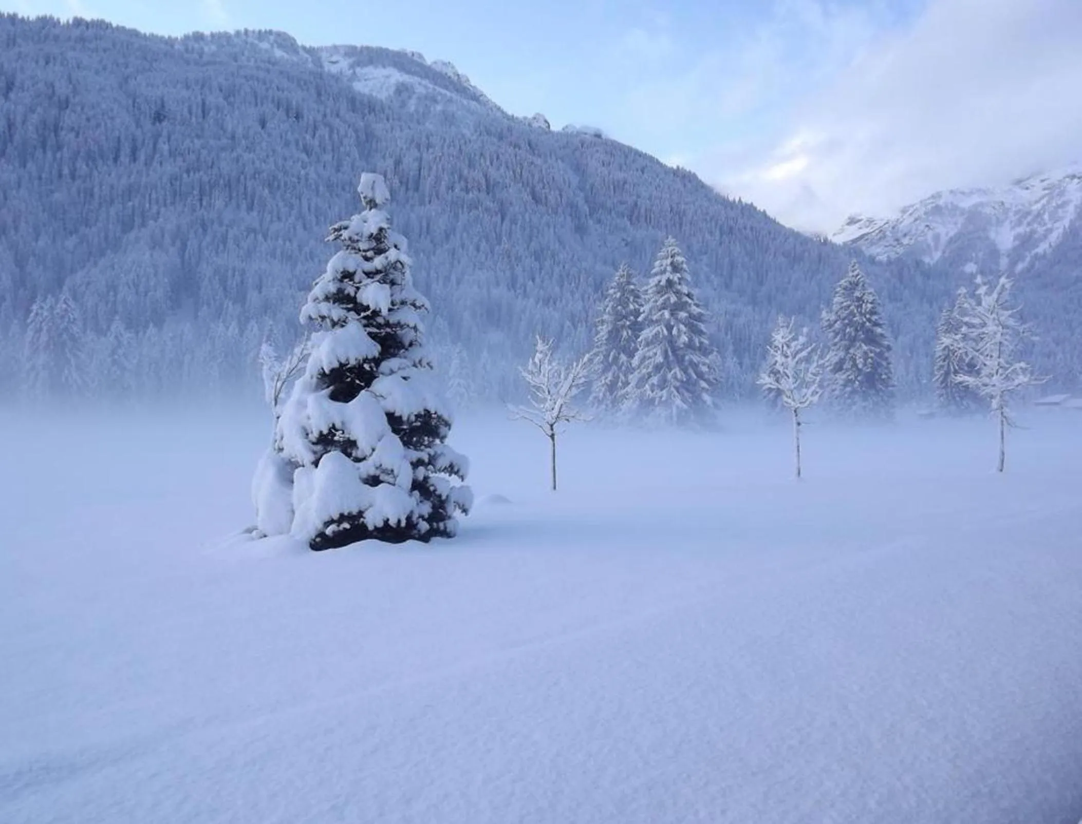 Garden in Sport Hotel Cristal