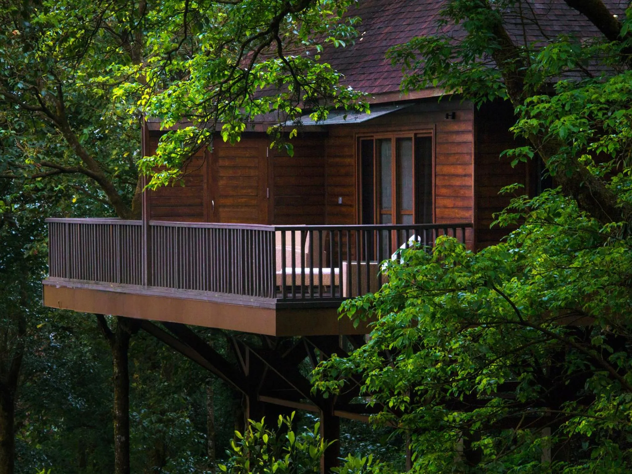 View (from property/room) in The Tamara Coorg