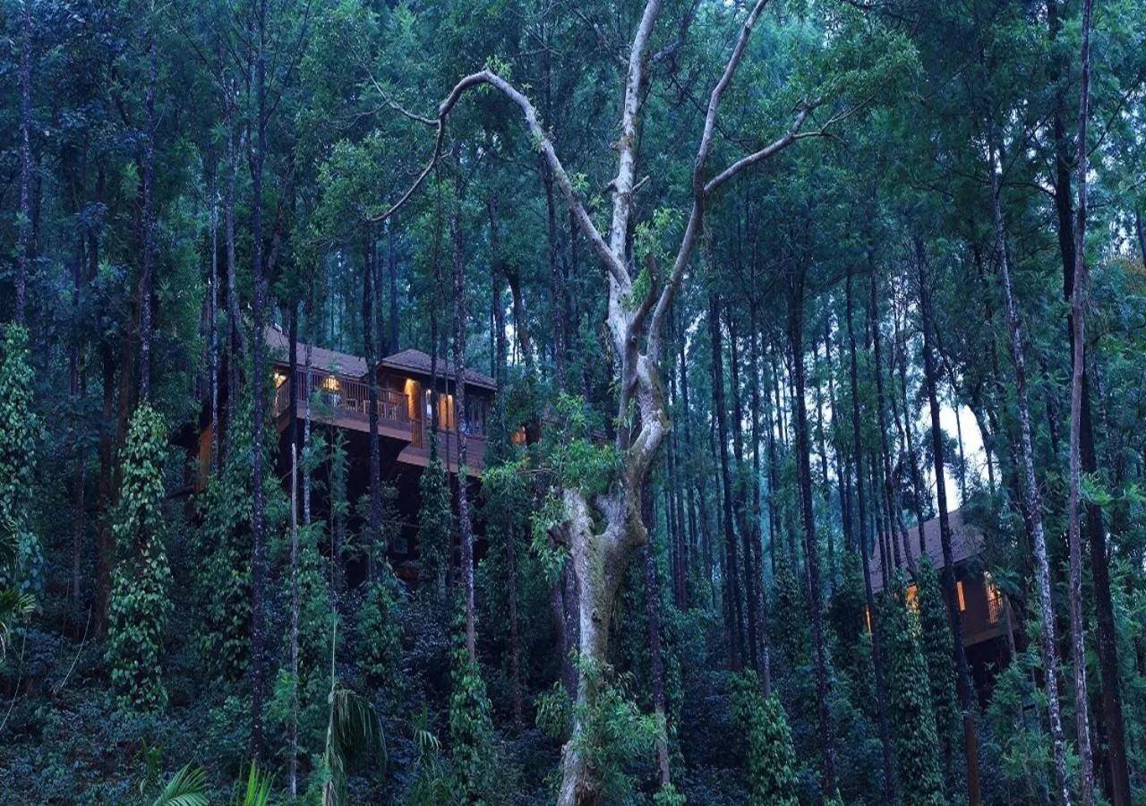 Property building in The Tamara Coorg