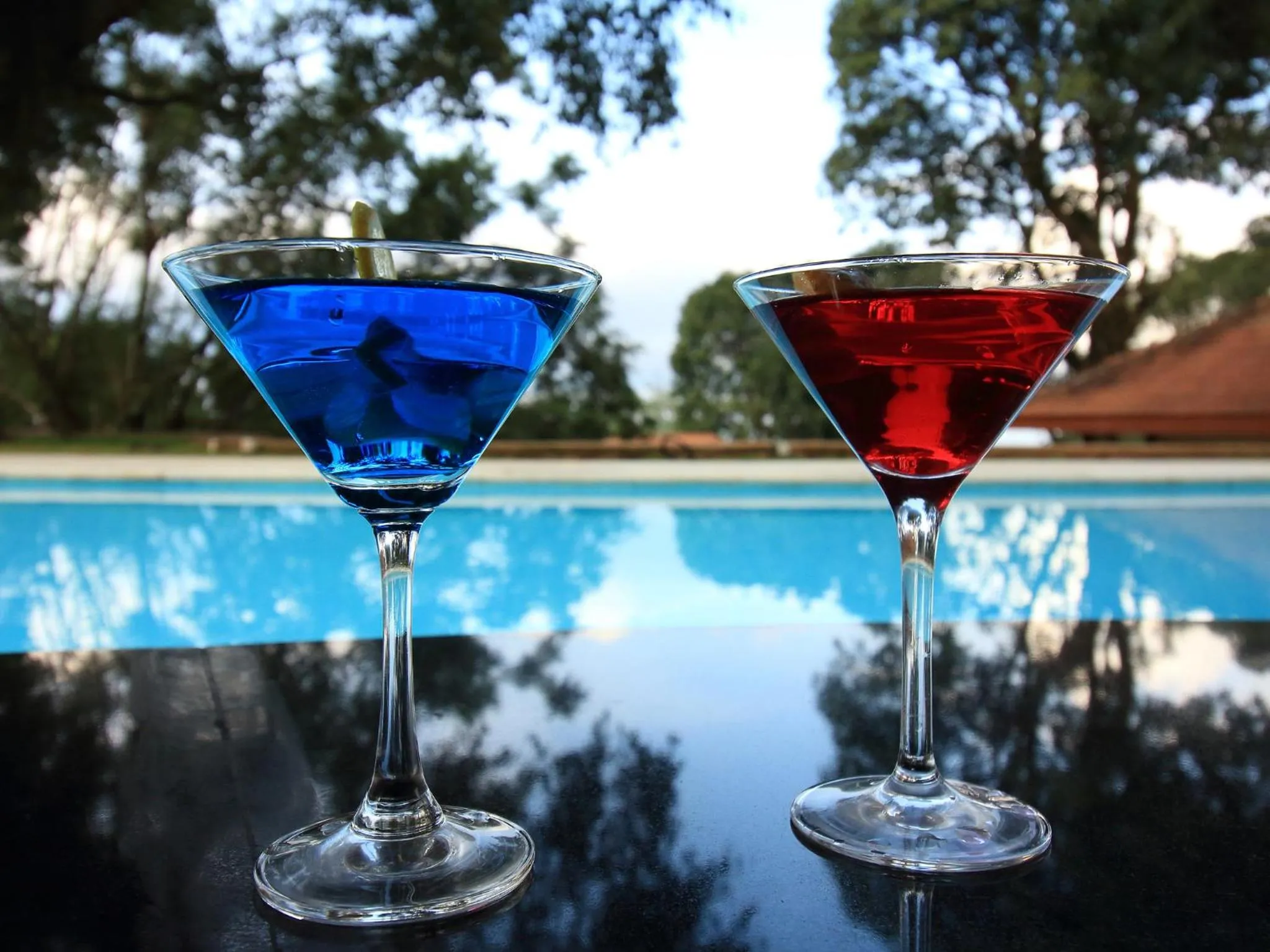 Lounge or bar in The Tamara Coorg