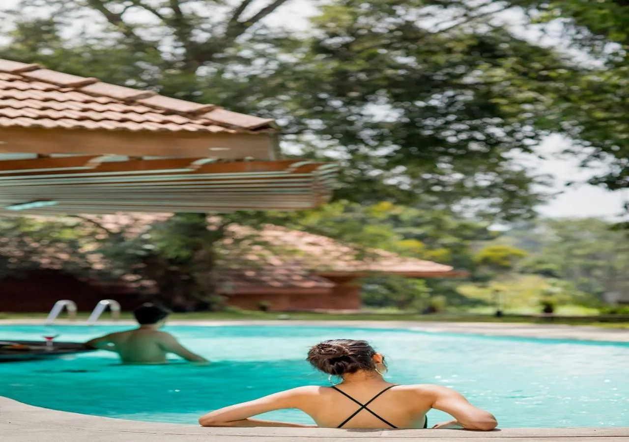 Swimming pool in The Tamara Coorg