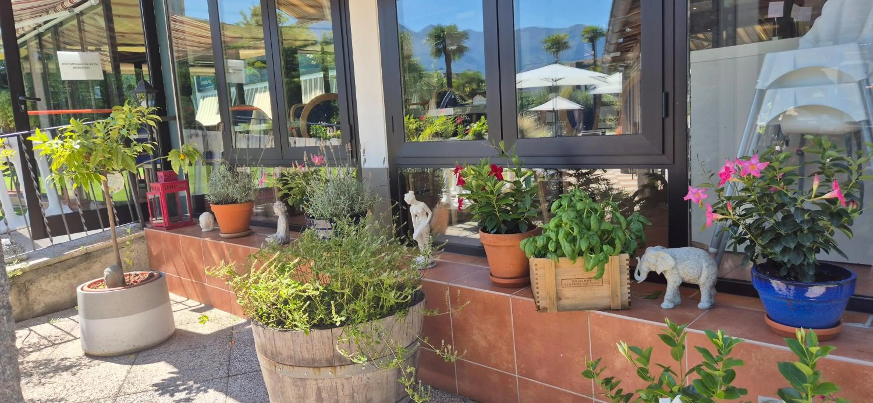 Garden in Hotel Tiziana