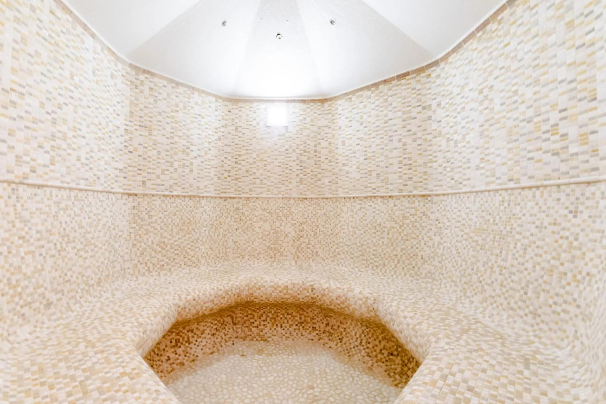 Steam room in Hotel Relais Vecchio Maso