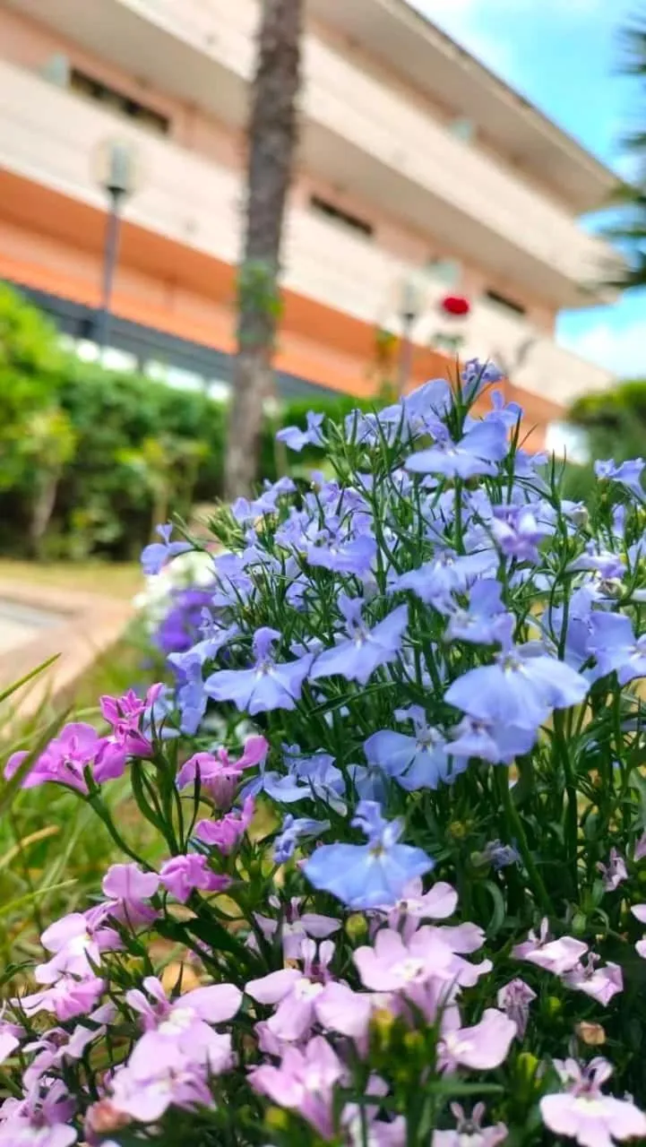 Garden in Green Sporting Club Hotel
