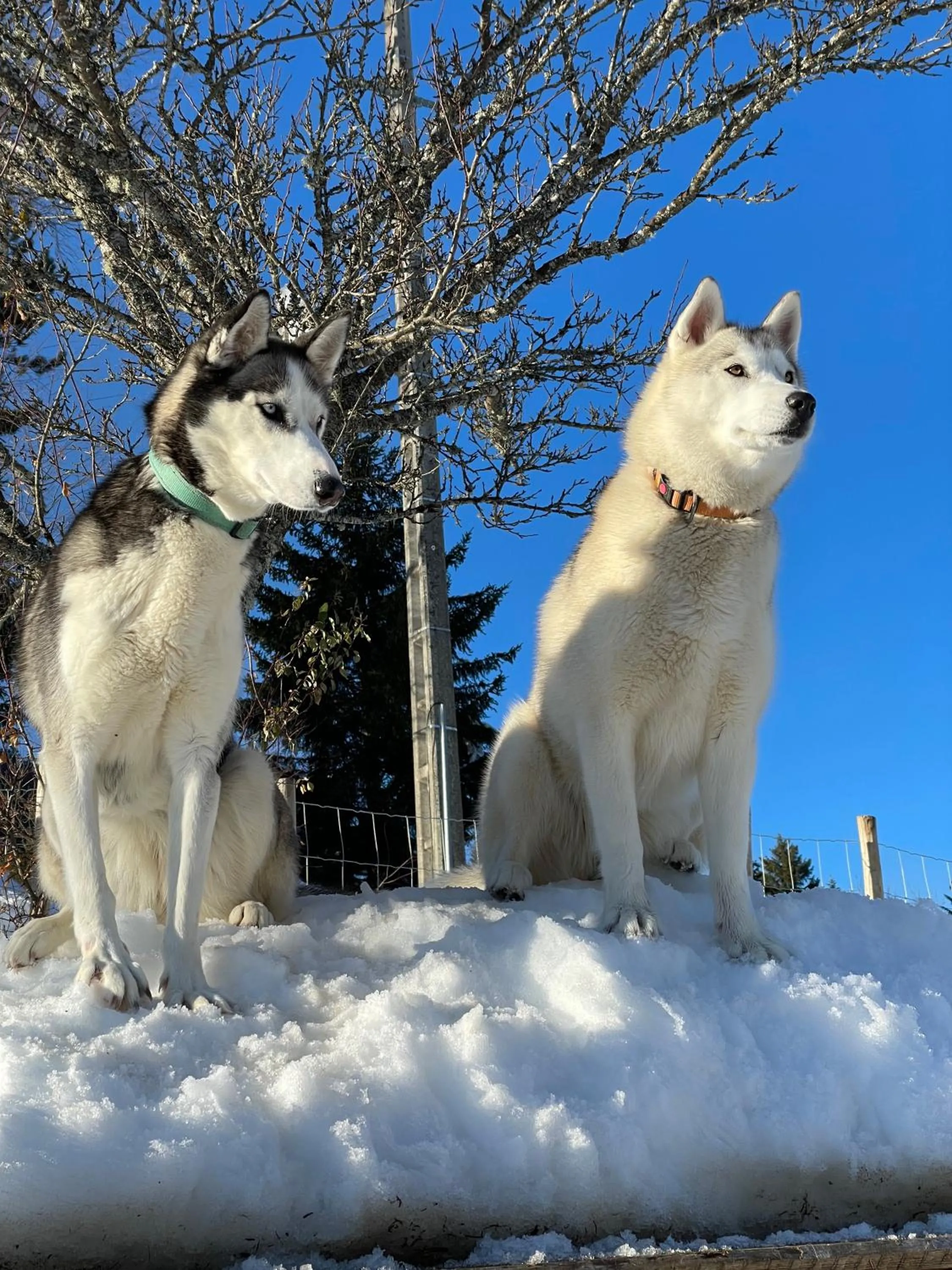 Winter in Le Valombré