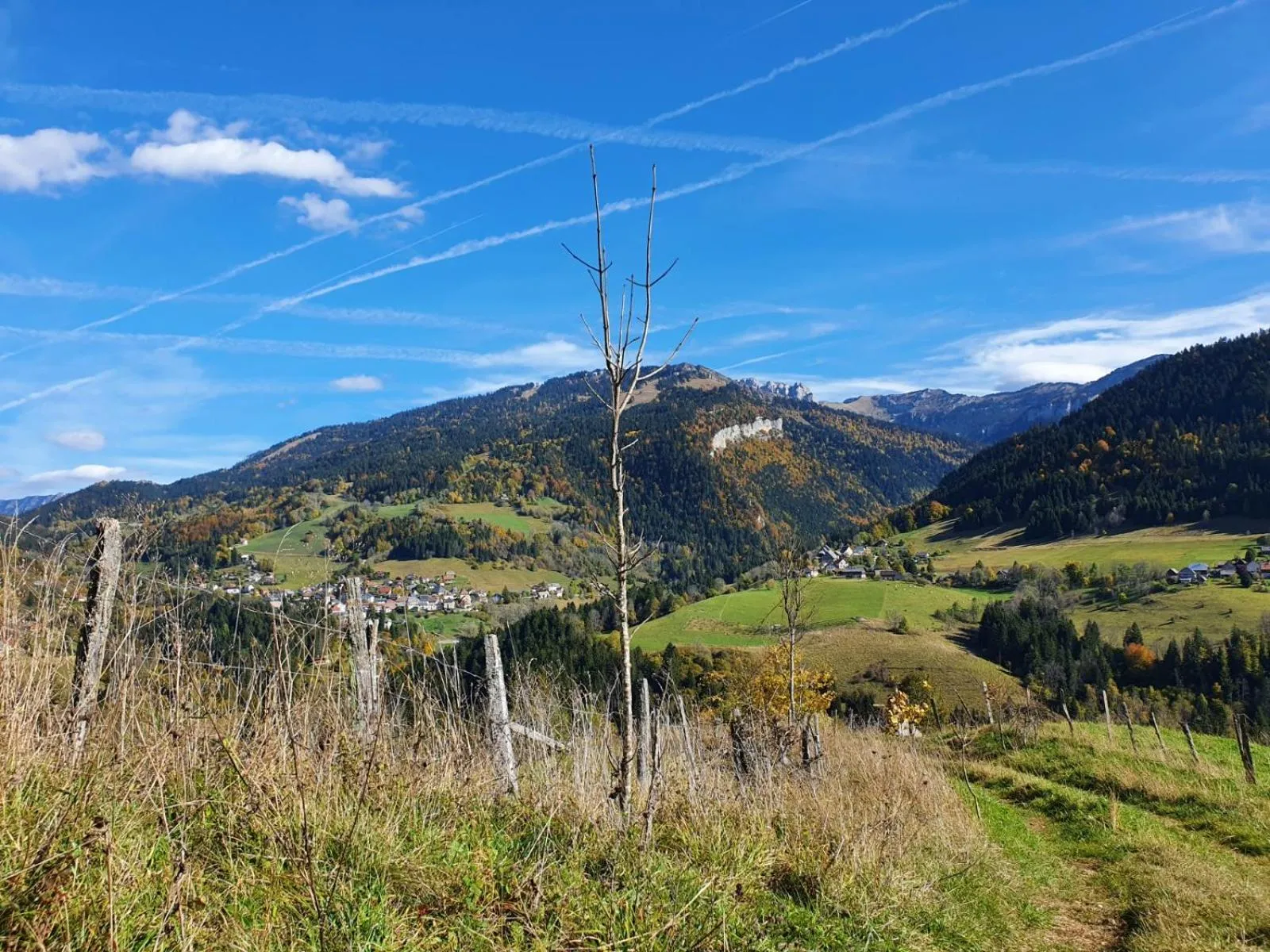 Natural landscape in Le Valombré