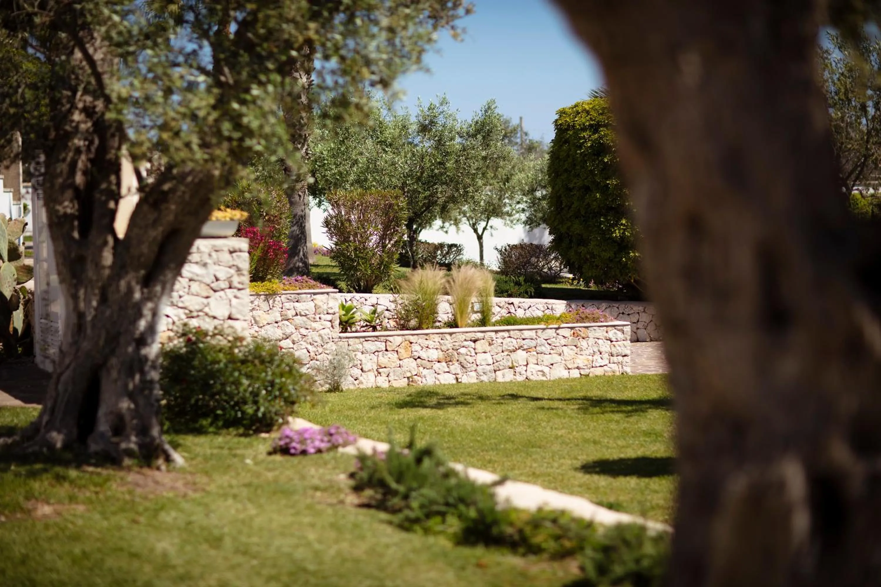 Garden in Borgo Mulino a Vento - Resort
