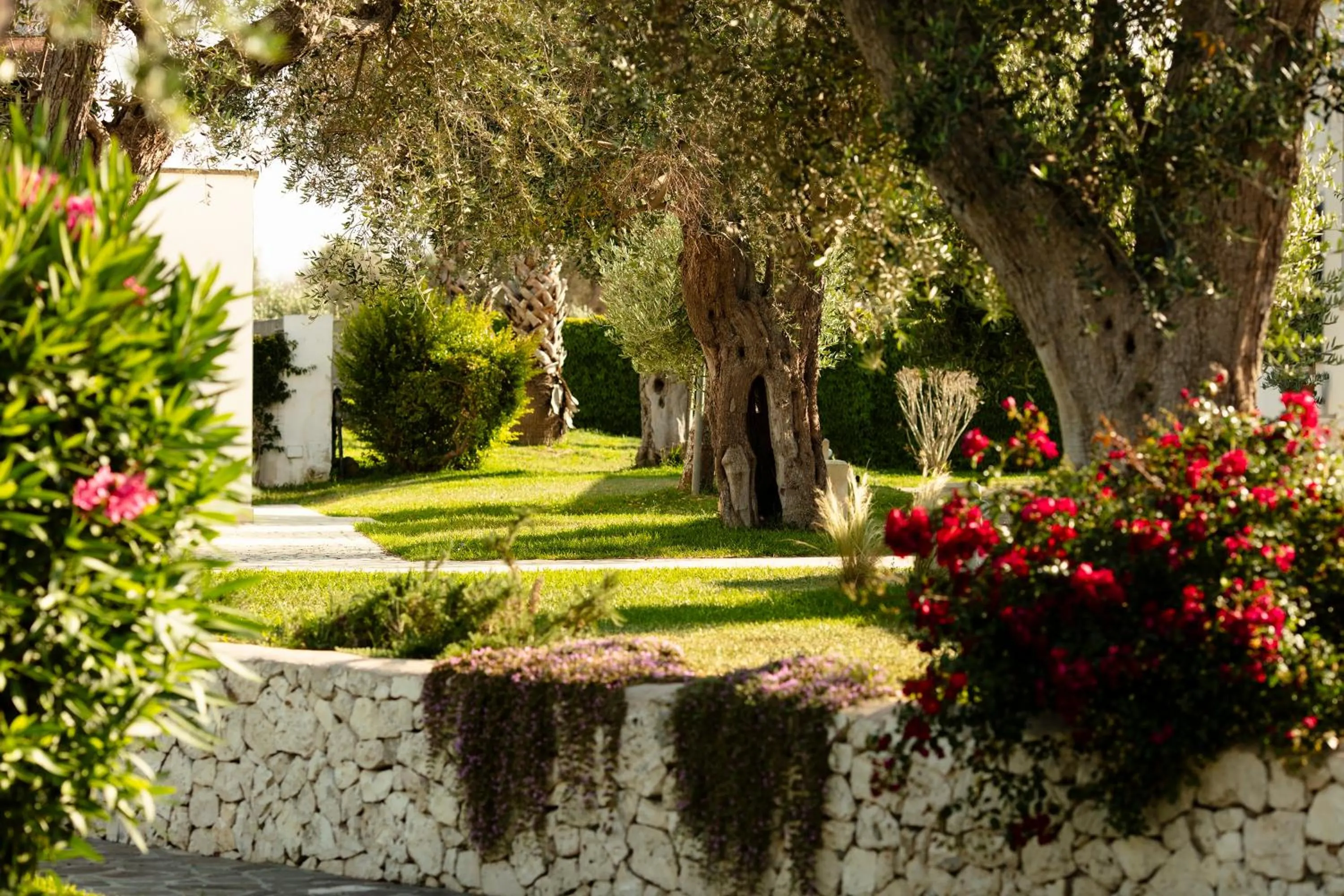 Garden in Borgo Mulino a Vento - Resort