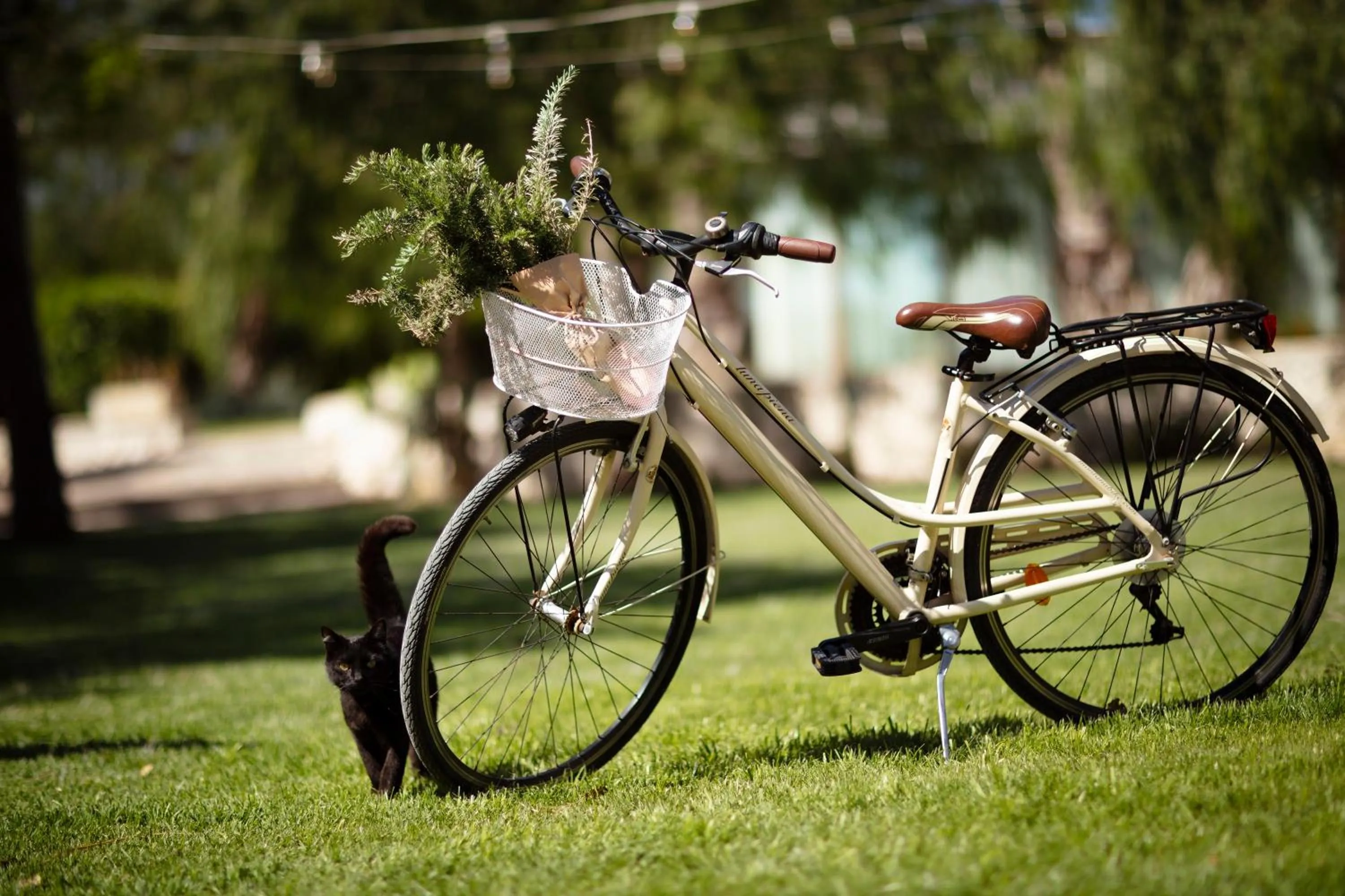 Cycling in Borgo Mulino a Vento - Resort