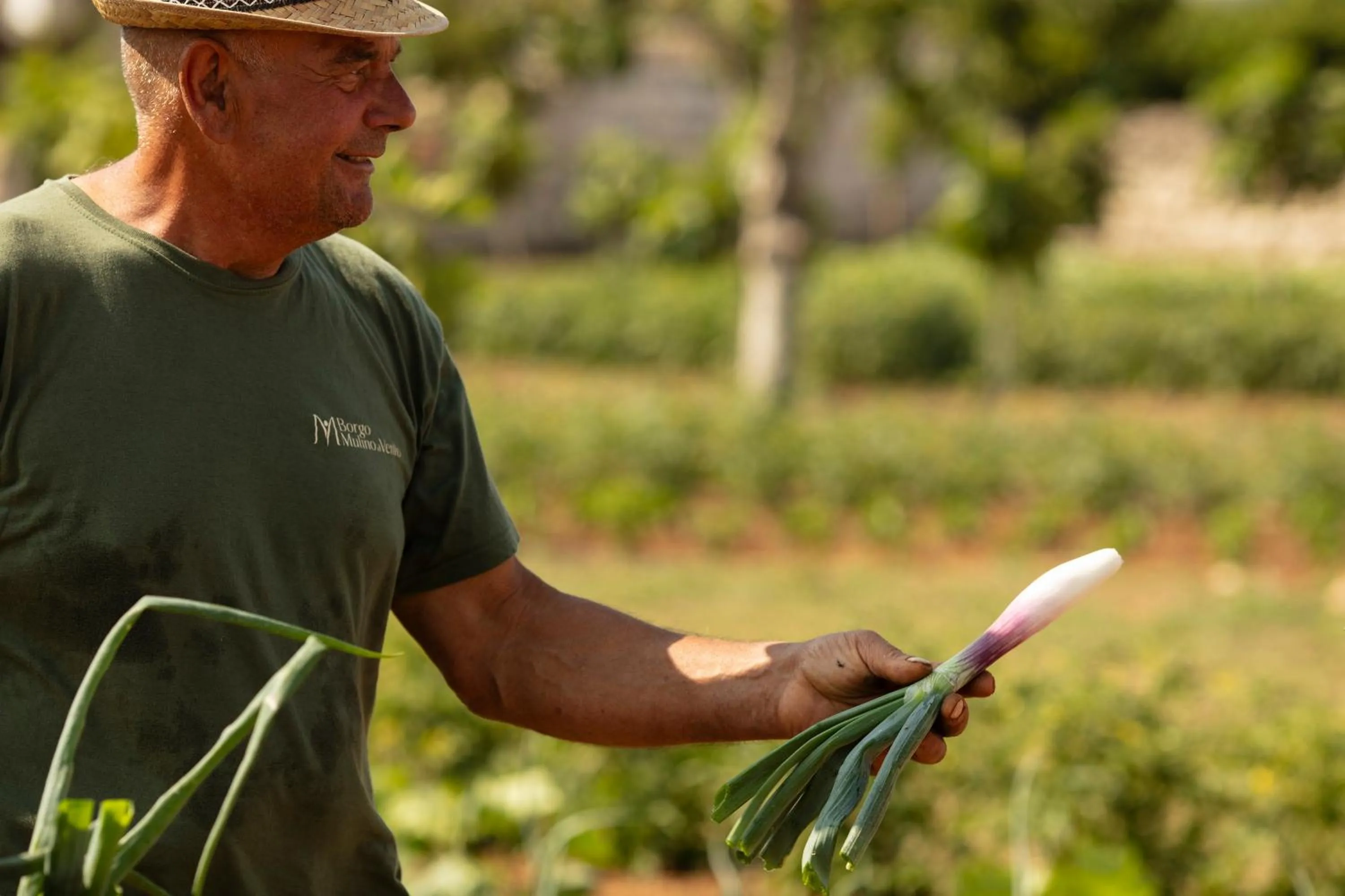 Restaurant/places to eat in Borgo Mulino a Vento - Resort