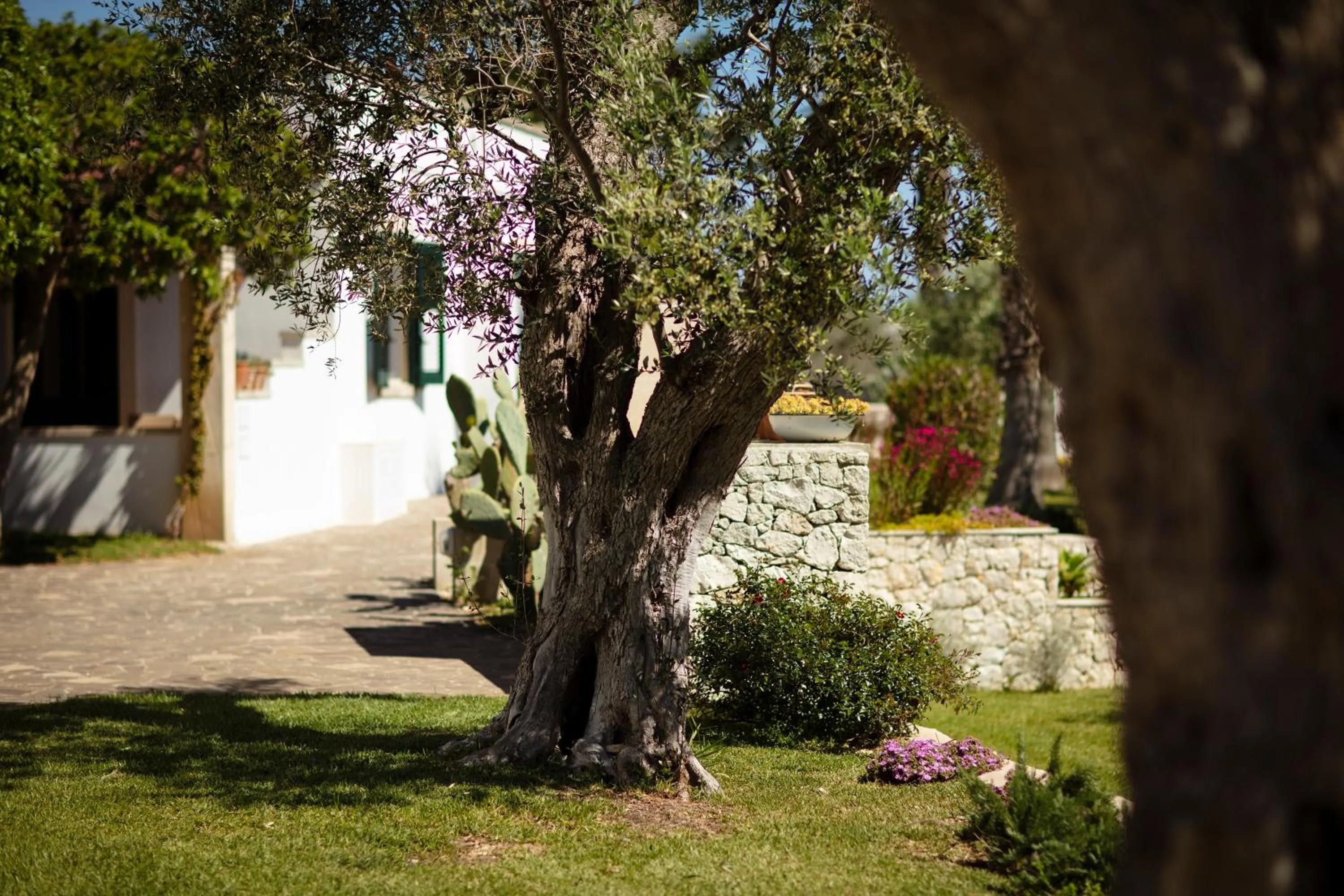 Garden in Borgo Mulino a Vento - Resort