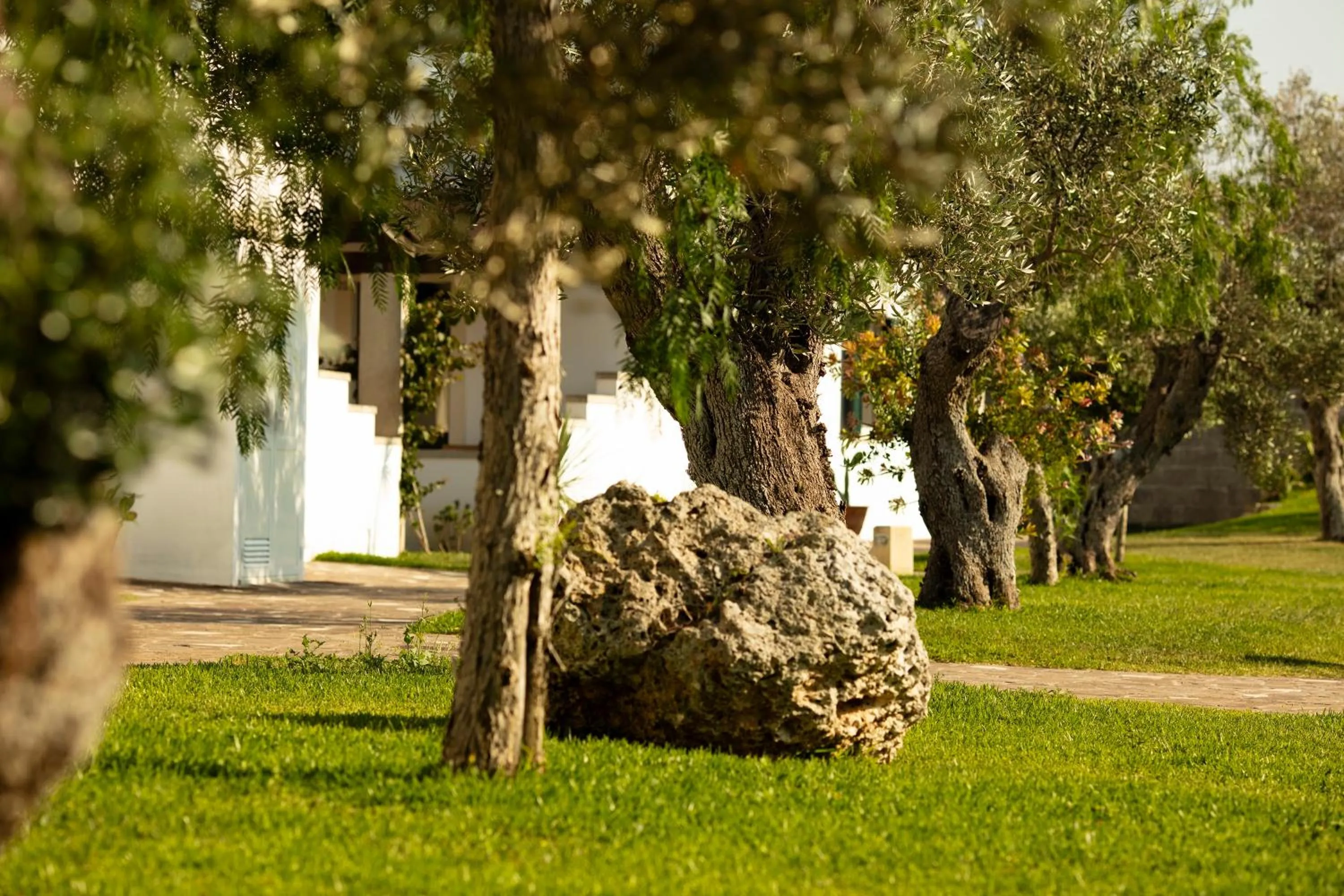 Garden in Borgo Mulino a Vento - Resort