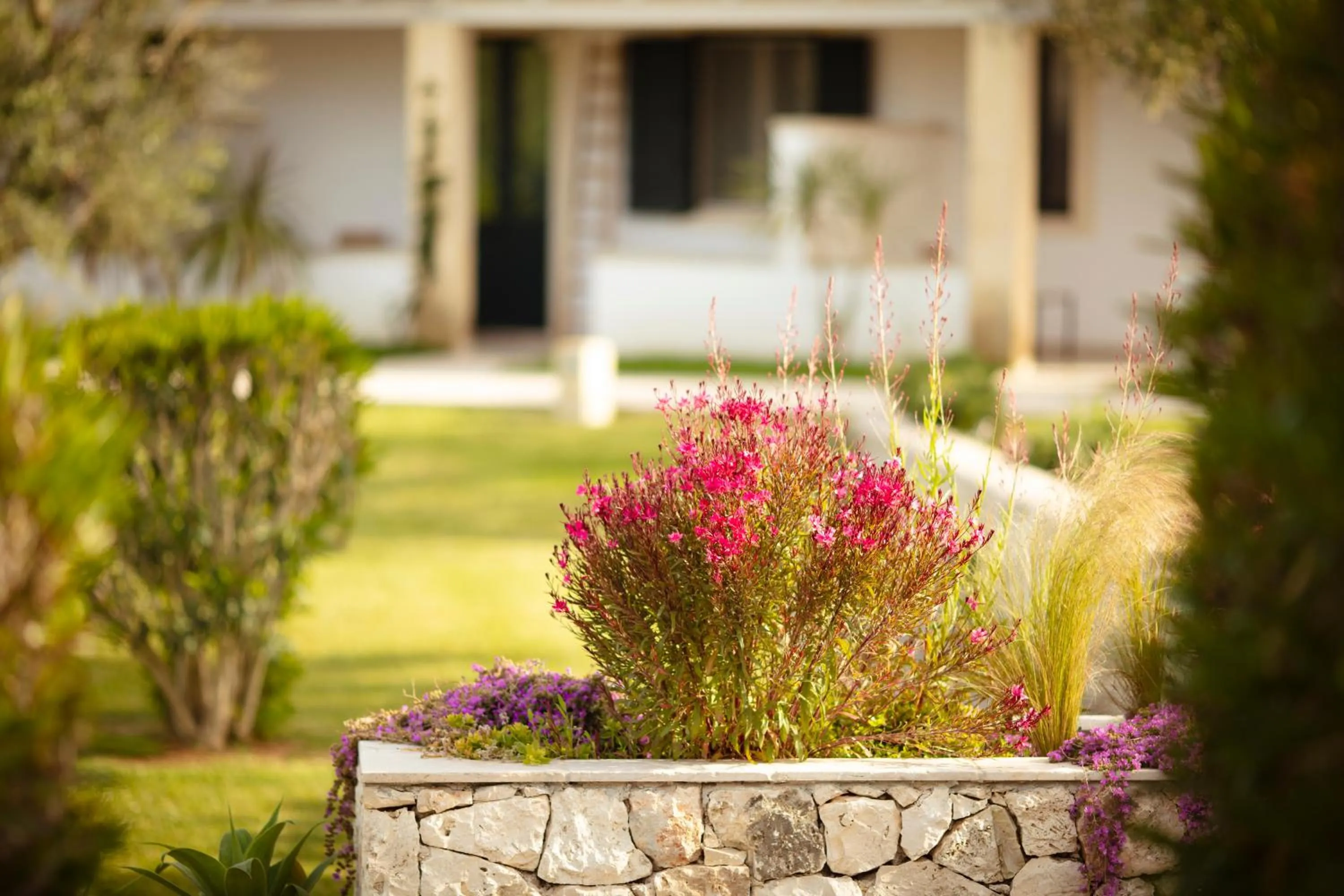 Garden in Borgo Mulino a Vento - Resort