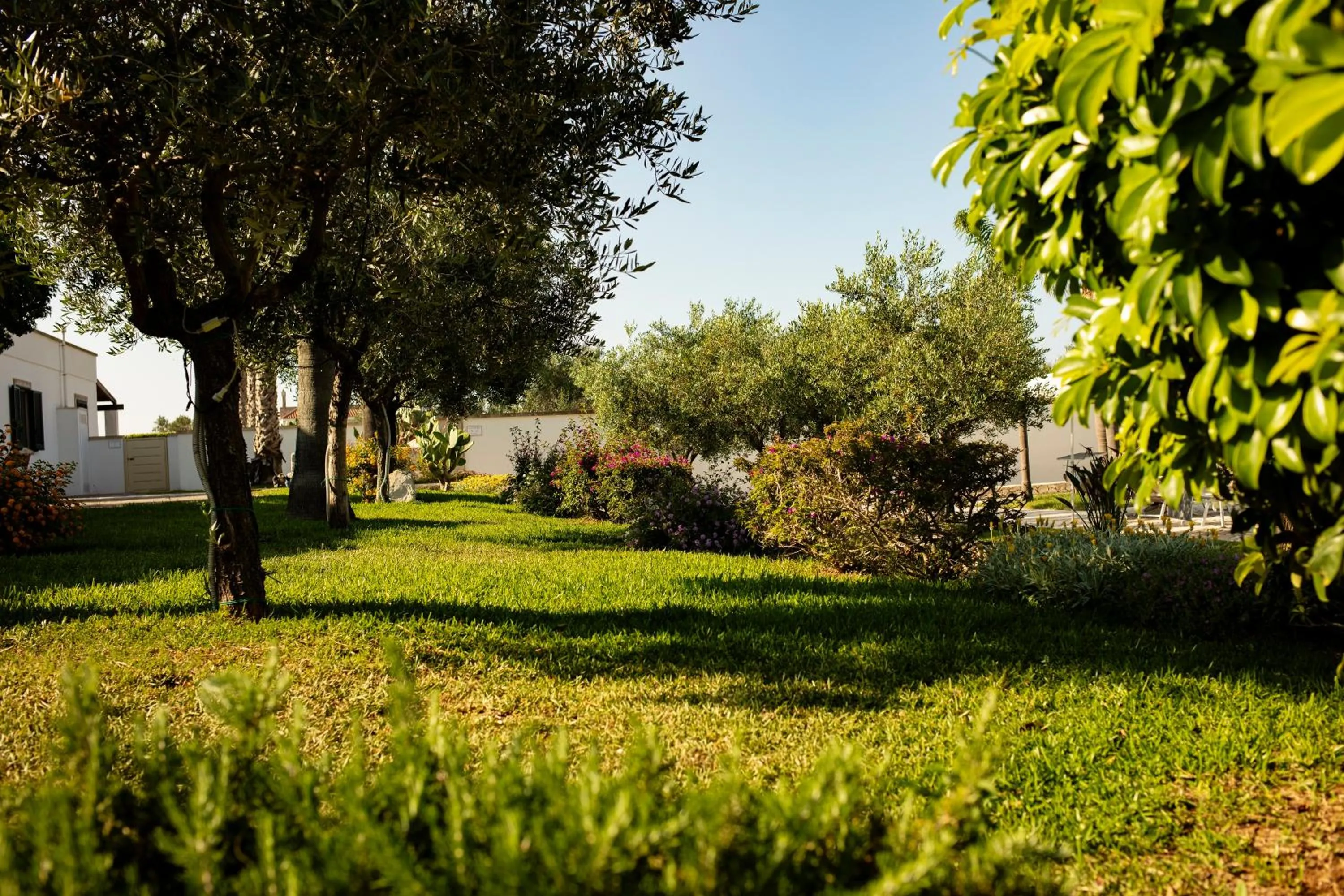 Garden in Borgo Mulino a Vento - Resort