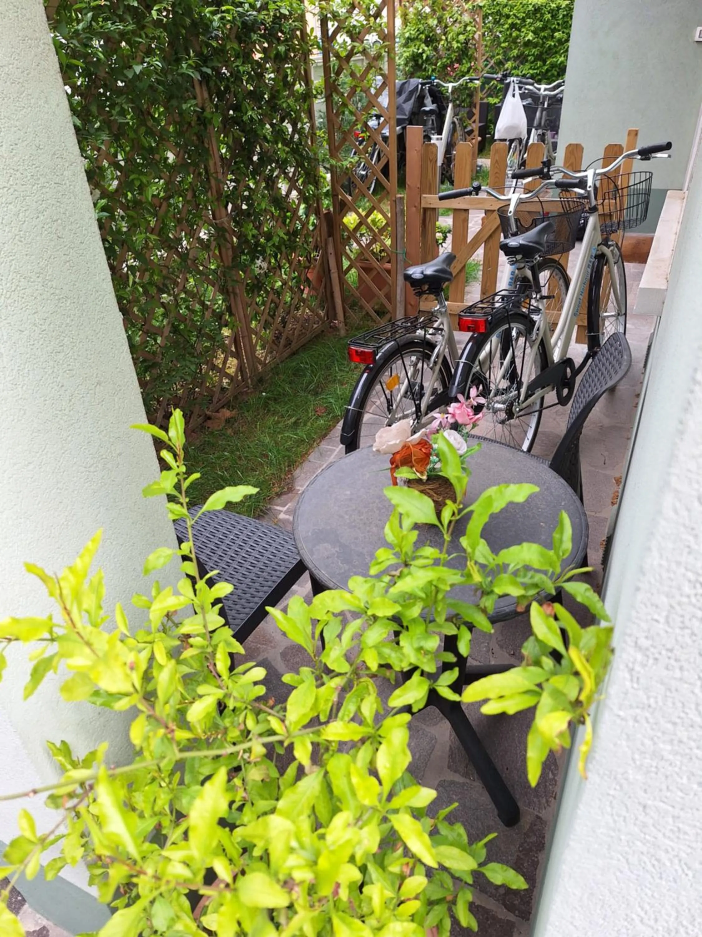 Garden in Sweet Harbour PORTO - Affittacamere