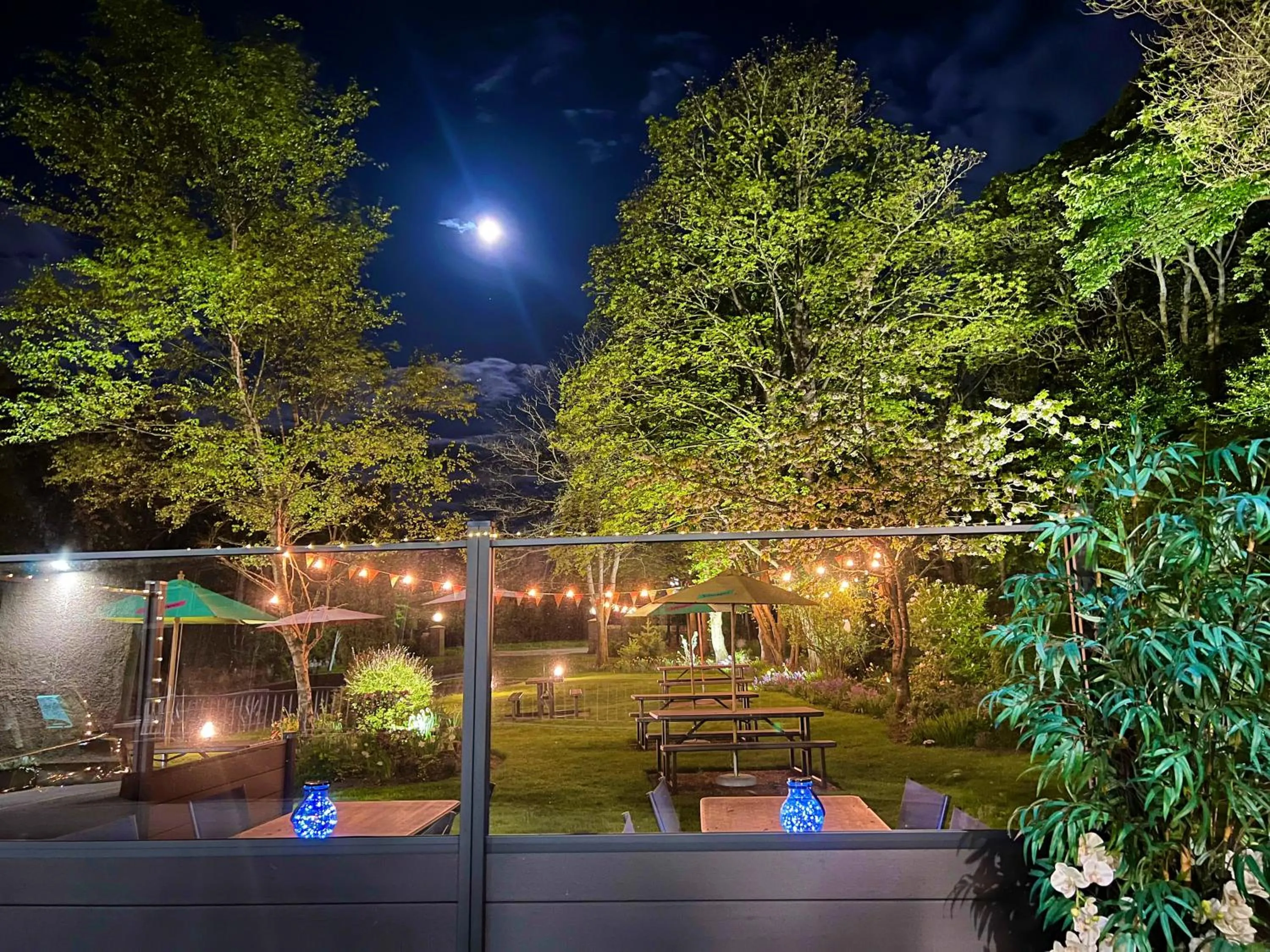 Garden view in Pinehurst Lodge Hotel -Dyce, Aberdeen