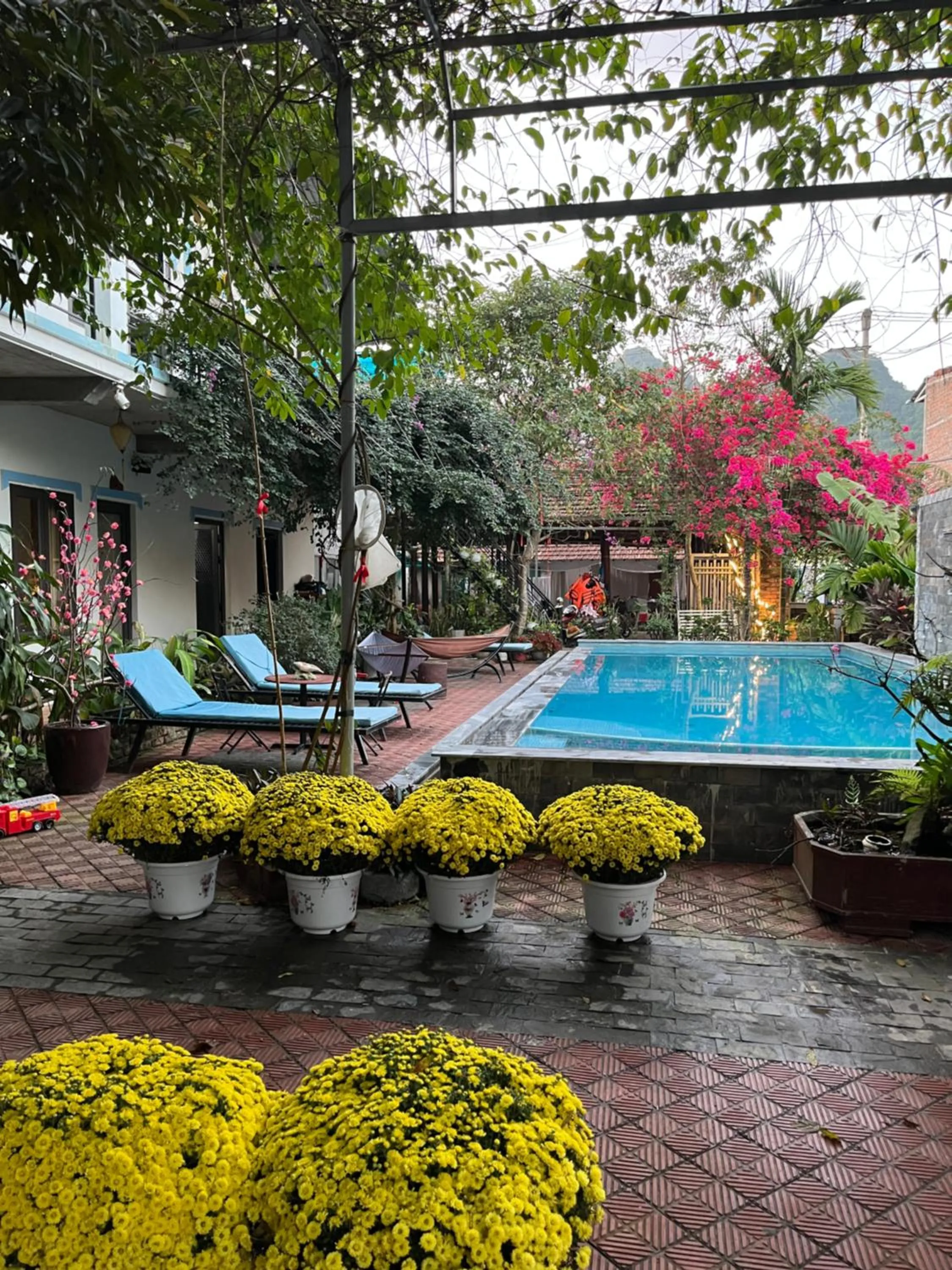 Patio in Phong Nha An An Homestay