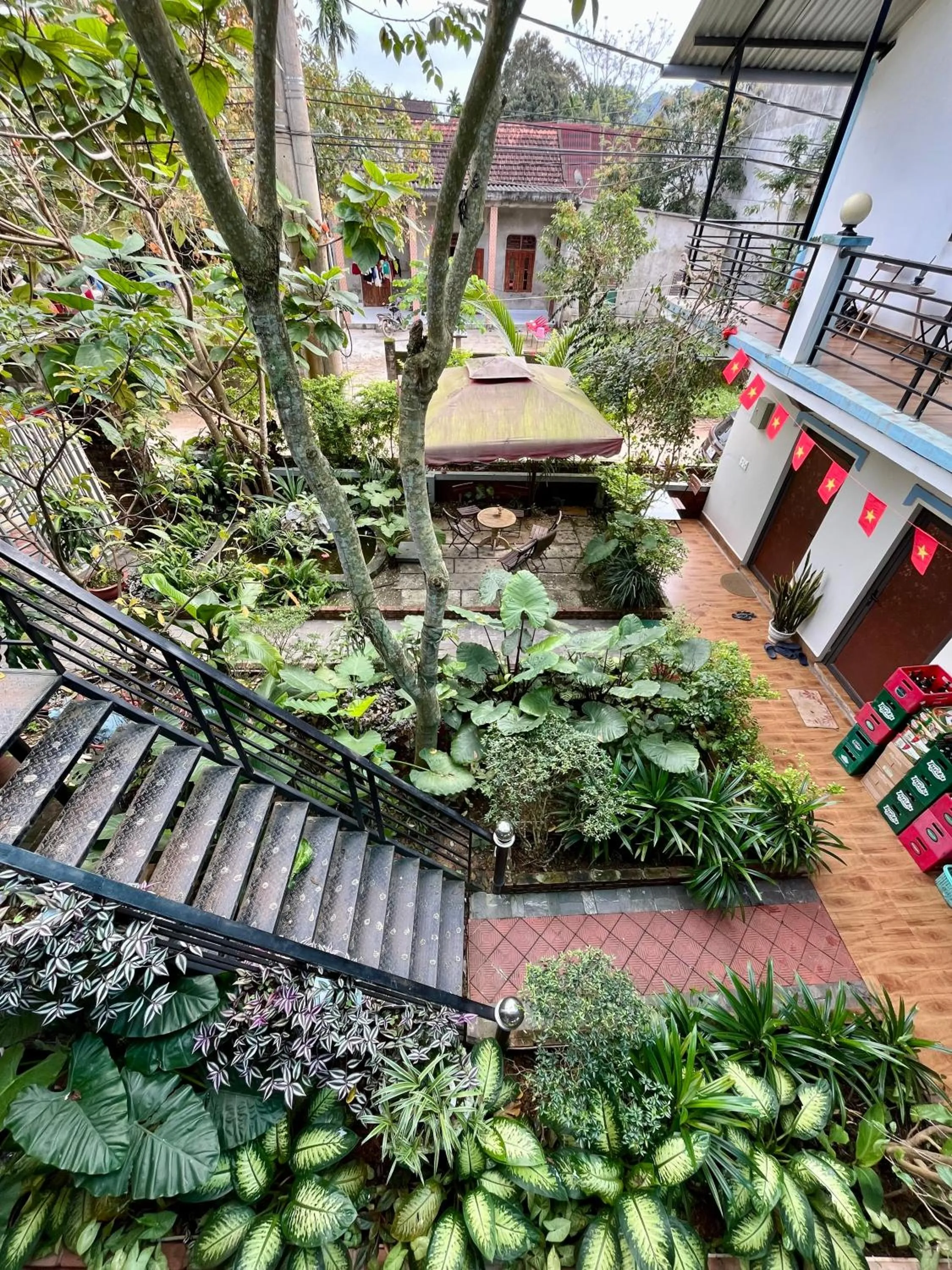 Garden in Phong Nha An An Homestay