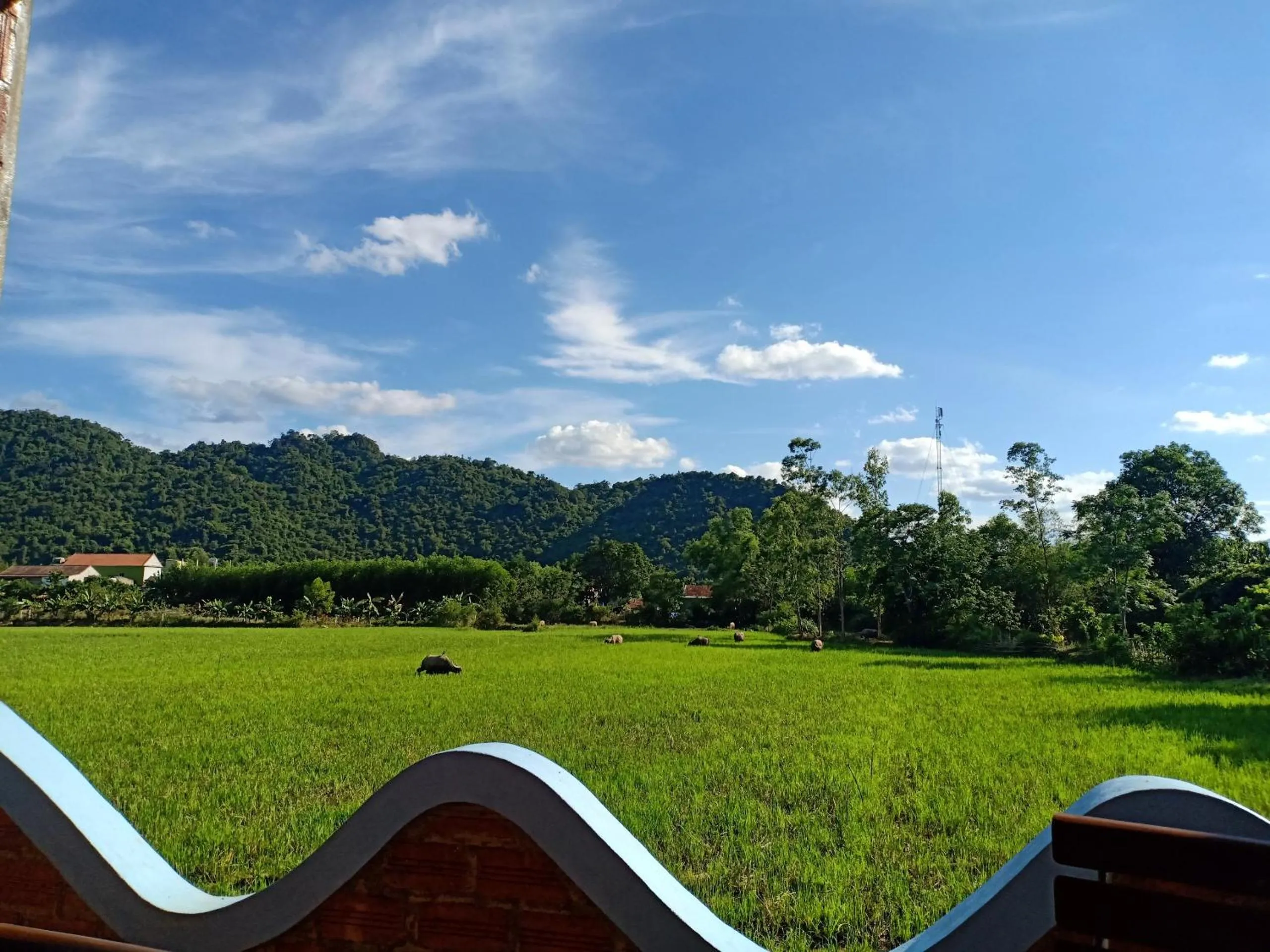 Garden in Phong Nha An An Homestay