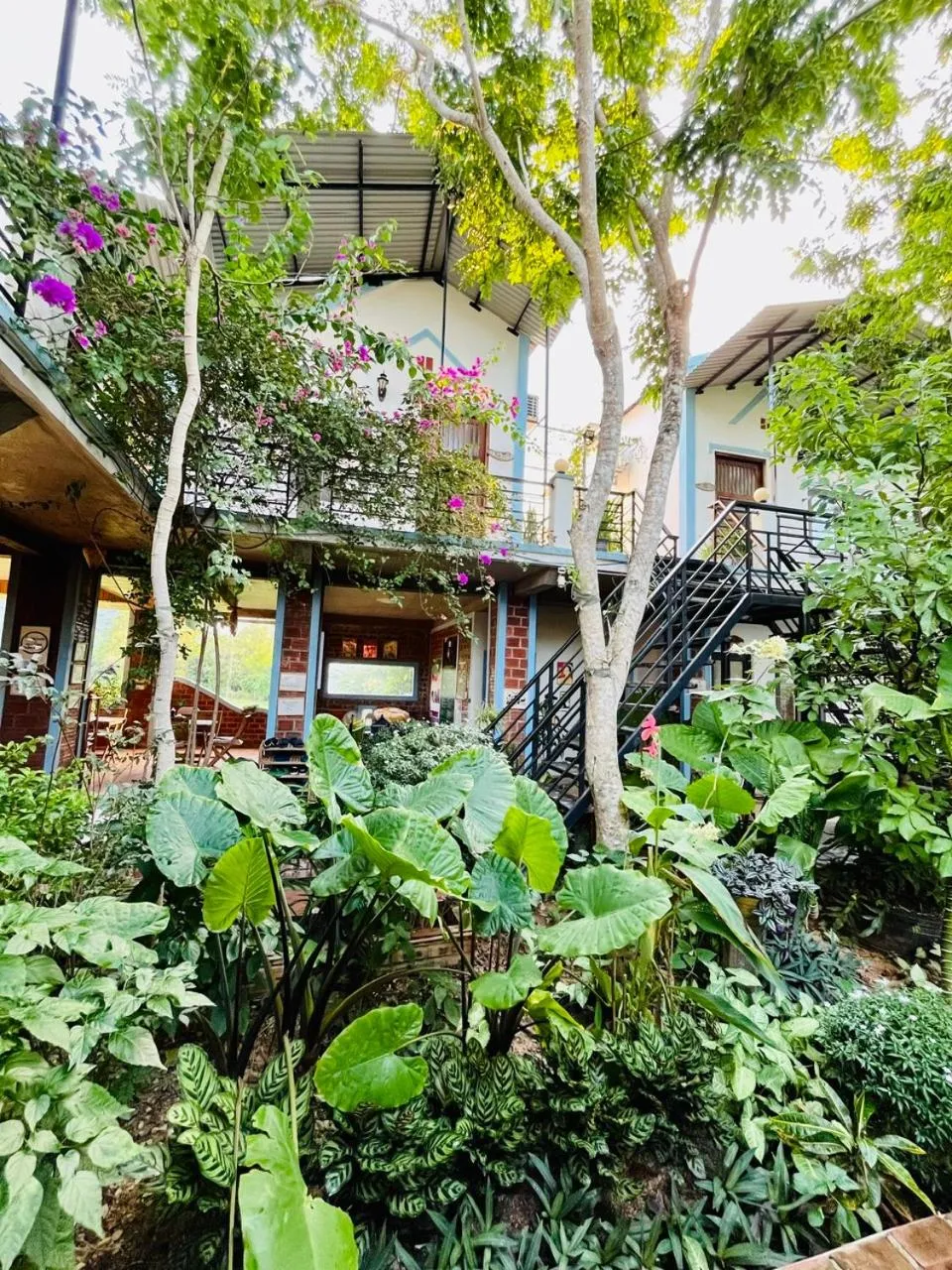 Property building in Phong Nha An An Homestay