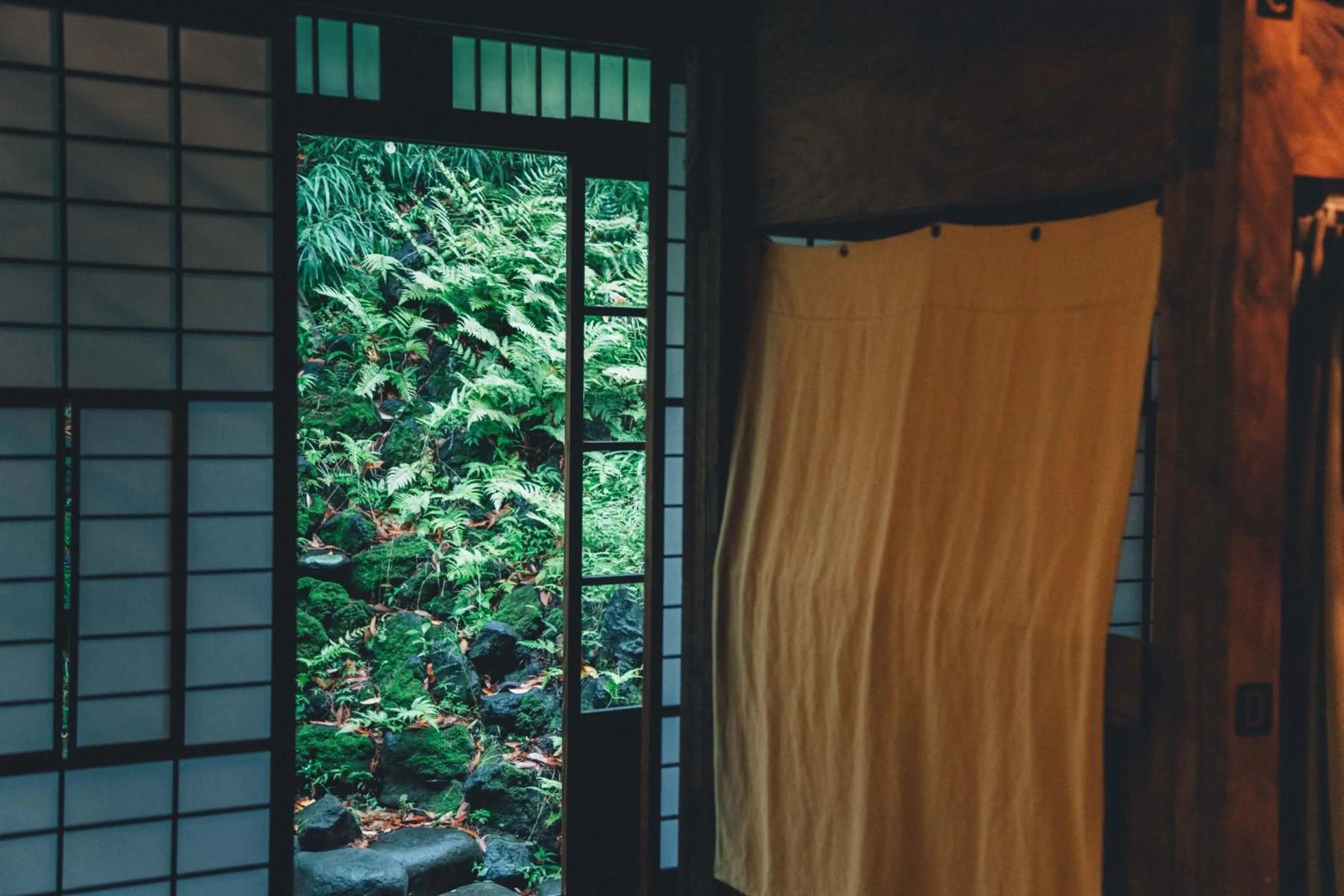 Photo of the whole room in Guesthouse toco