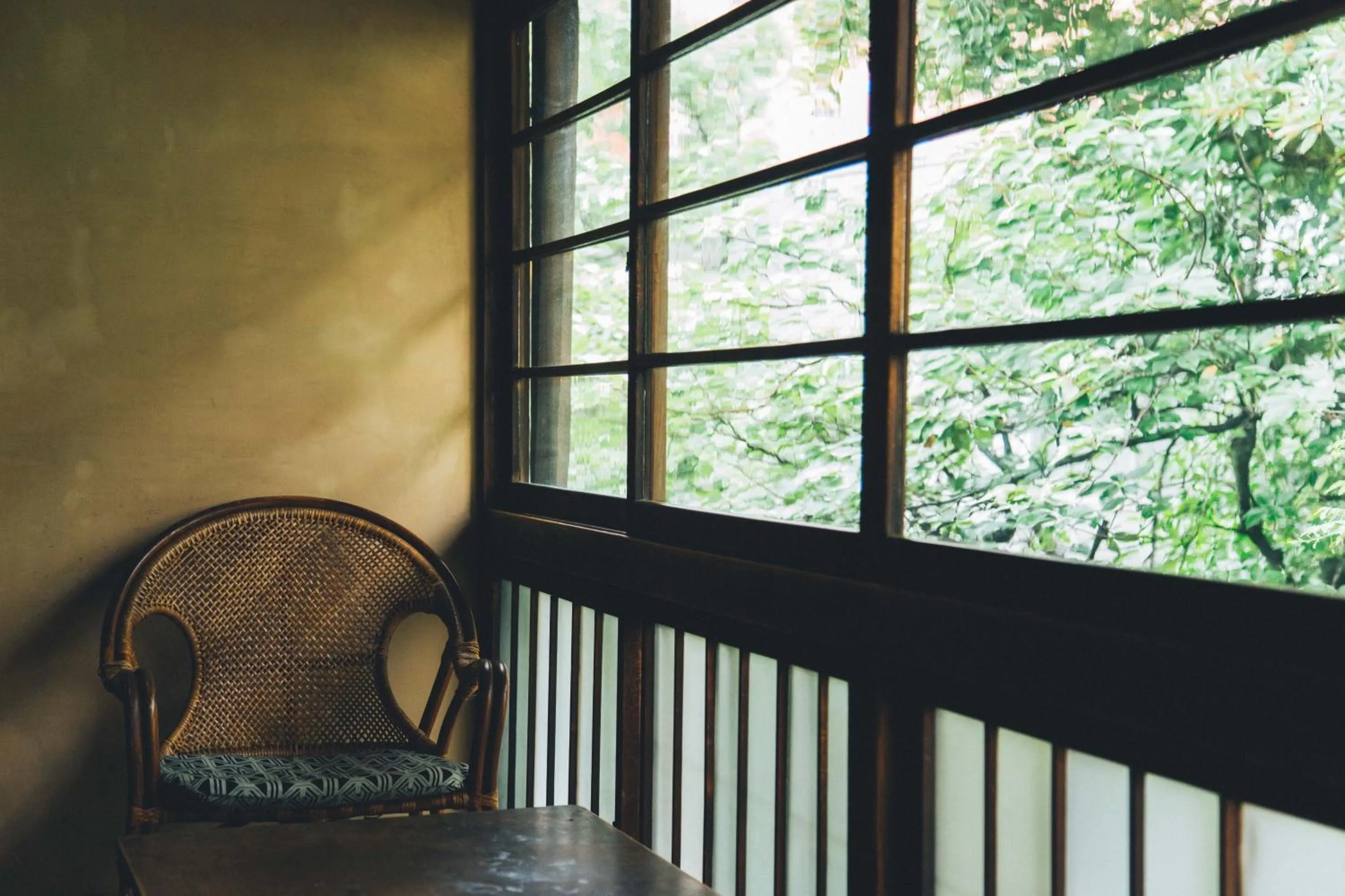 Photo of the whole room in Guesthouse toco